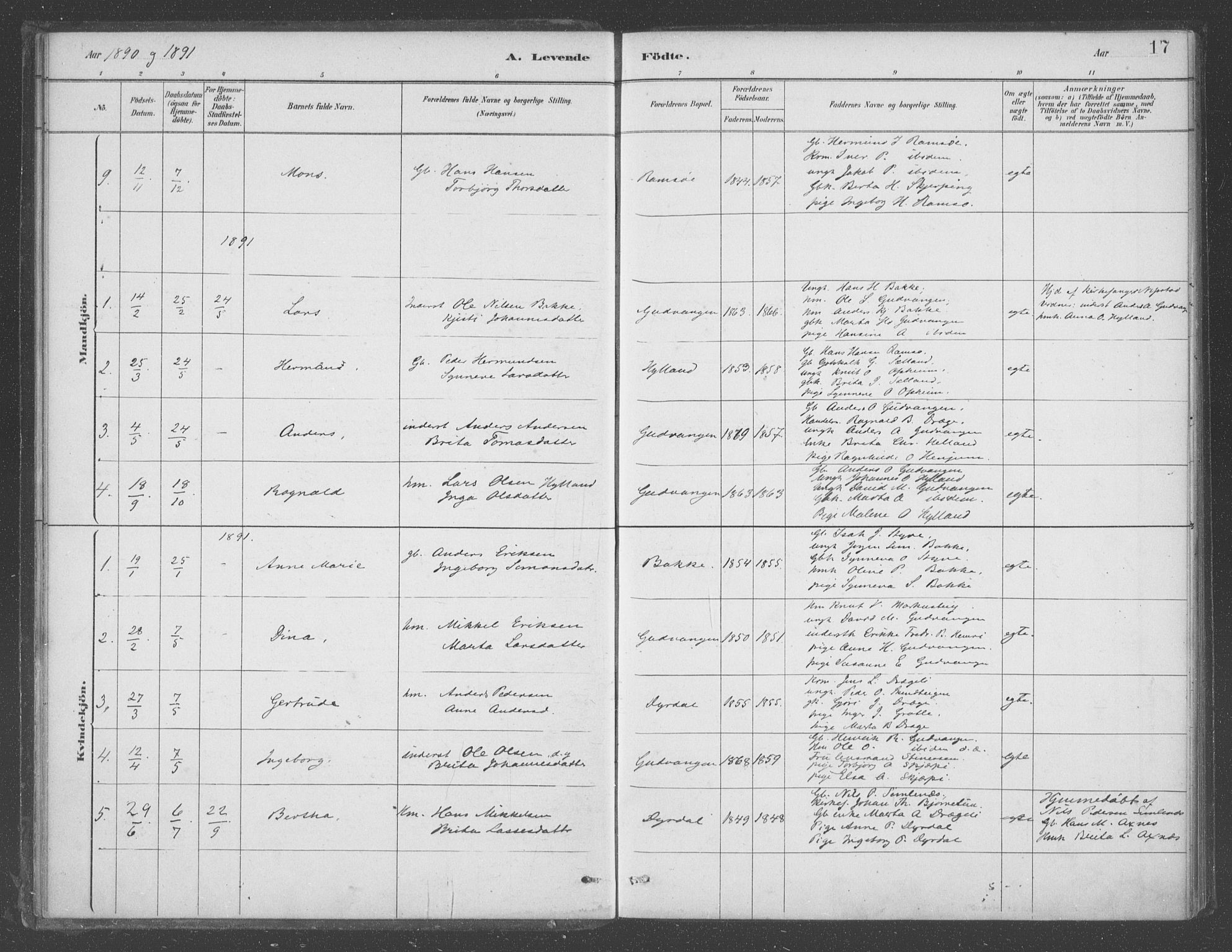 Aurland sokneprestembete, SAB/A-99937/H/Ha/Had/L0001: Parish register (official) no. D  1, 1880-1903, p. 17