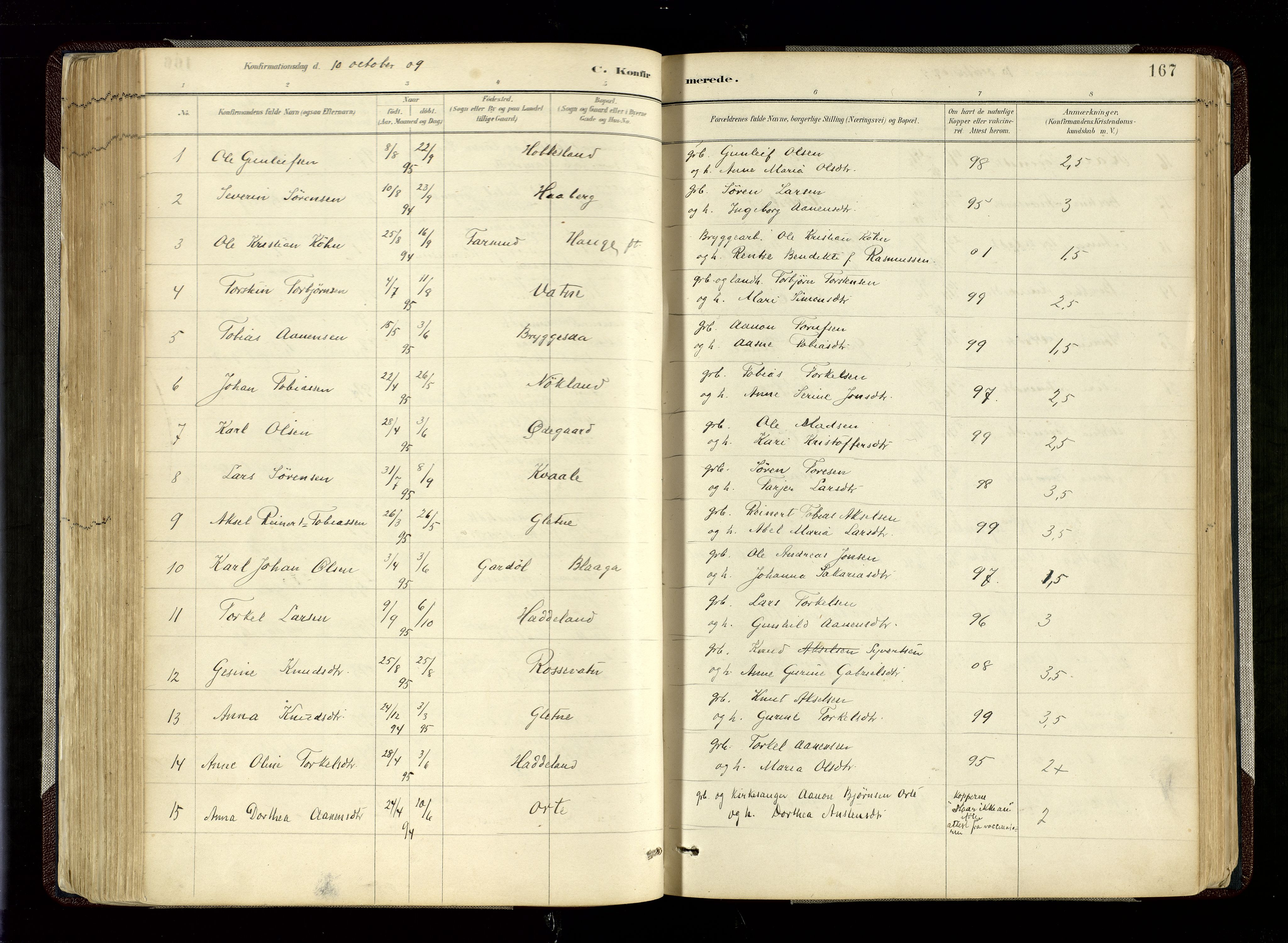 Hægebostad sokneprestkontor, SAK/1111-0024/F/Fa/Fab/L0004: Parish register (official) no. A 4, 1887-1929, p. 167