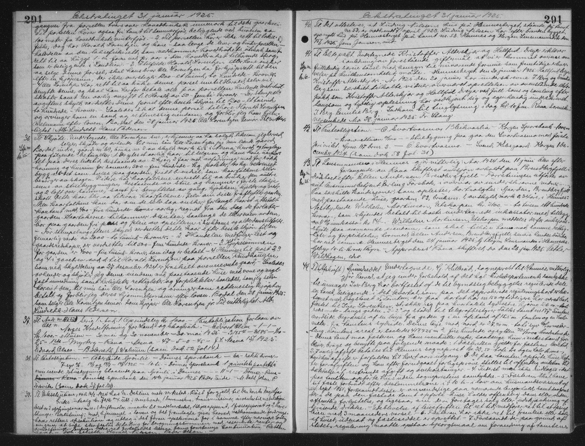 Rana sorenskriveri , AV/SAT-A-1108/1/2/2C/L0018: Mortgage book no. 18, 1923-1928, p. 291, Deed date: 31.01.1925