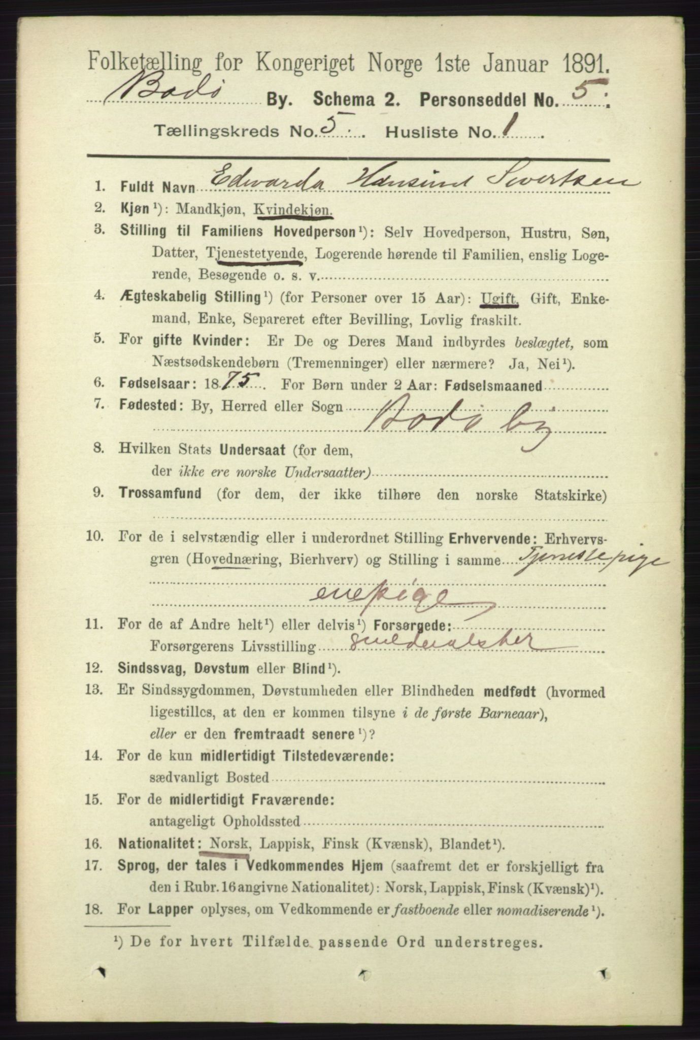 RA, 1891 census for 1804 Bodø, 1891, p. 3910