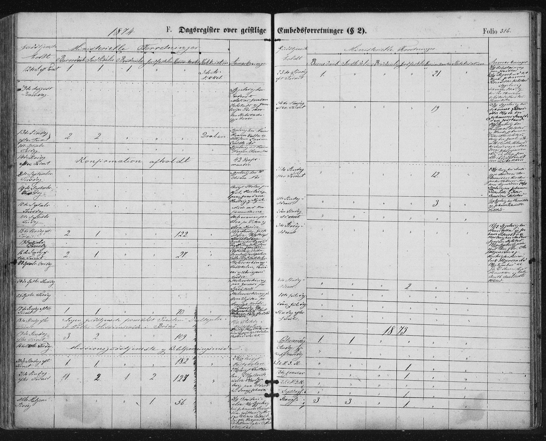 Ministerialprotokoller, klokkerbøker og fødselsregistre - Nordland, SAT/A-1459/816/L0241: Parish register (official) no. 816A07, 1870-1885, p. 316