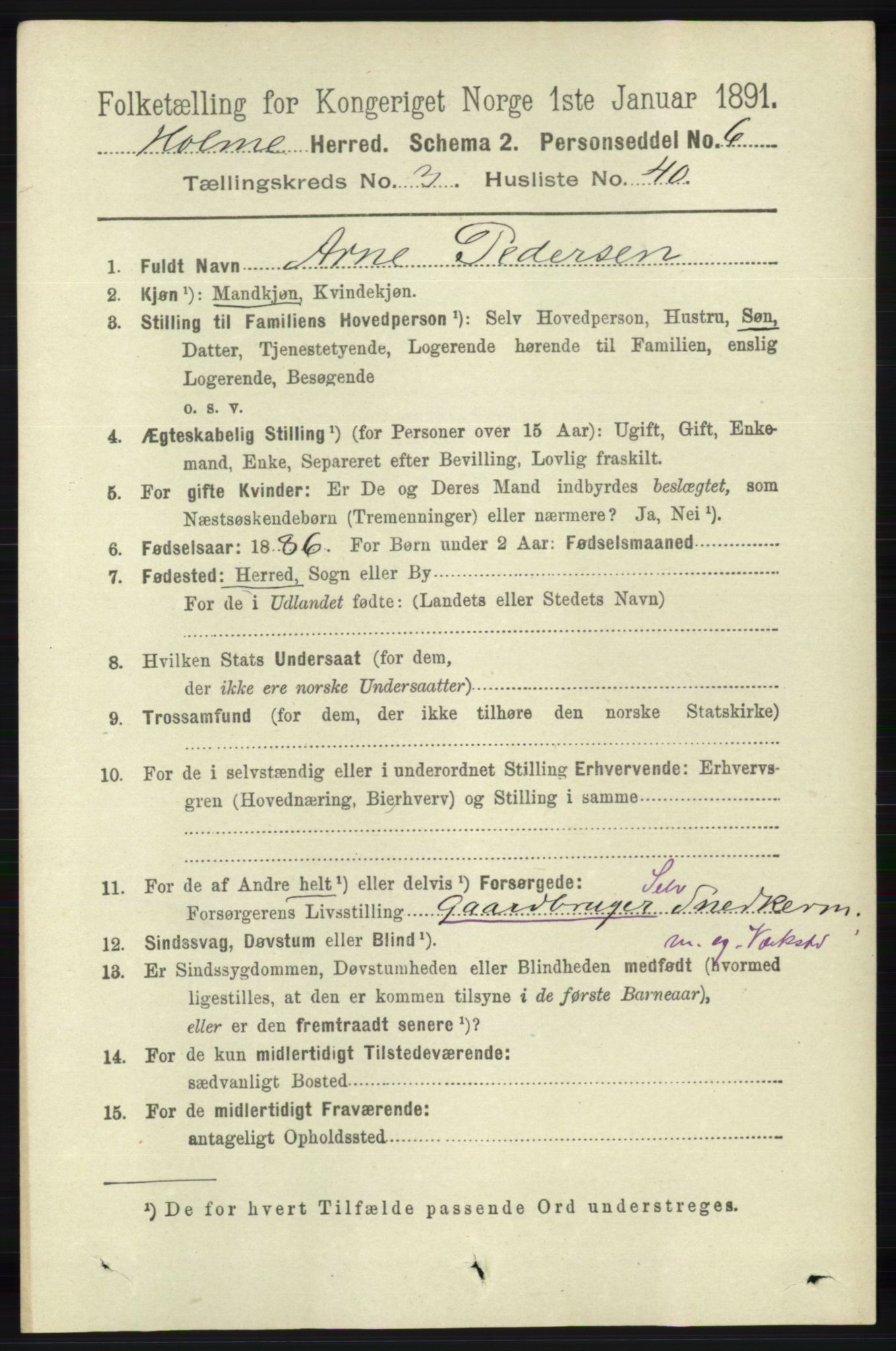 RA, 1891 census for 1020 Holum, 1891, p. 994