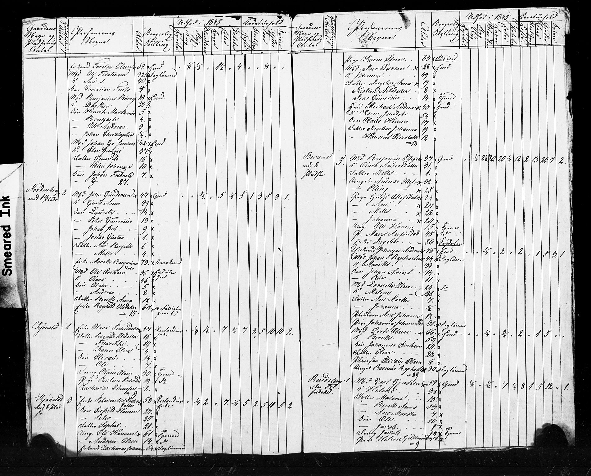 , Census 1845 for Skogn, 1845, p. 41