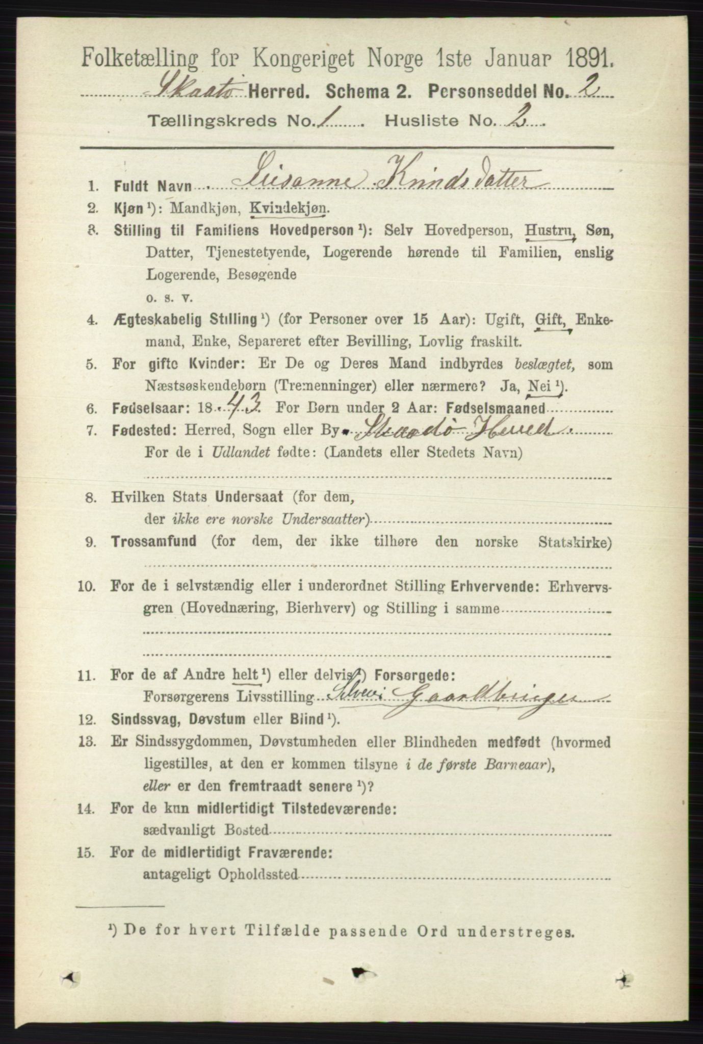 RA, 1891 census for 0815 Skåtøy, 1891, p. 99