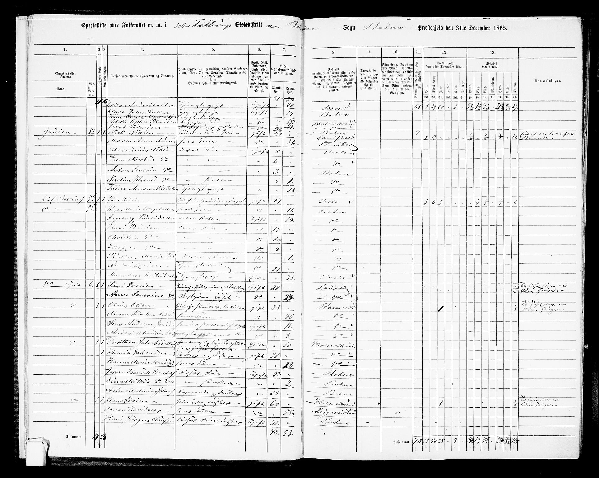 RA, 1865 census for Botne/Botne og Hillestad, 1865, p. 14