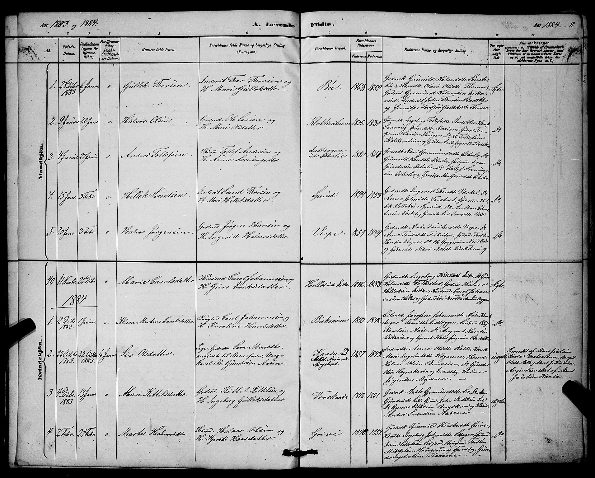 Bø kirkebøker, SAKO/A-257/G/Ga/L0005: Parish register (copy) no. 5, 1883-1897, p. 8