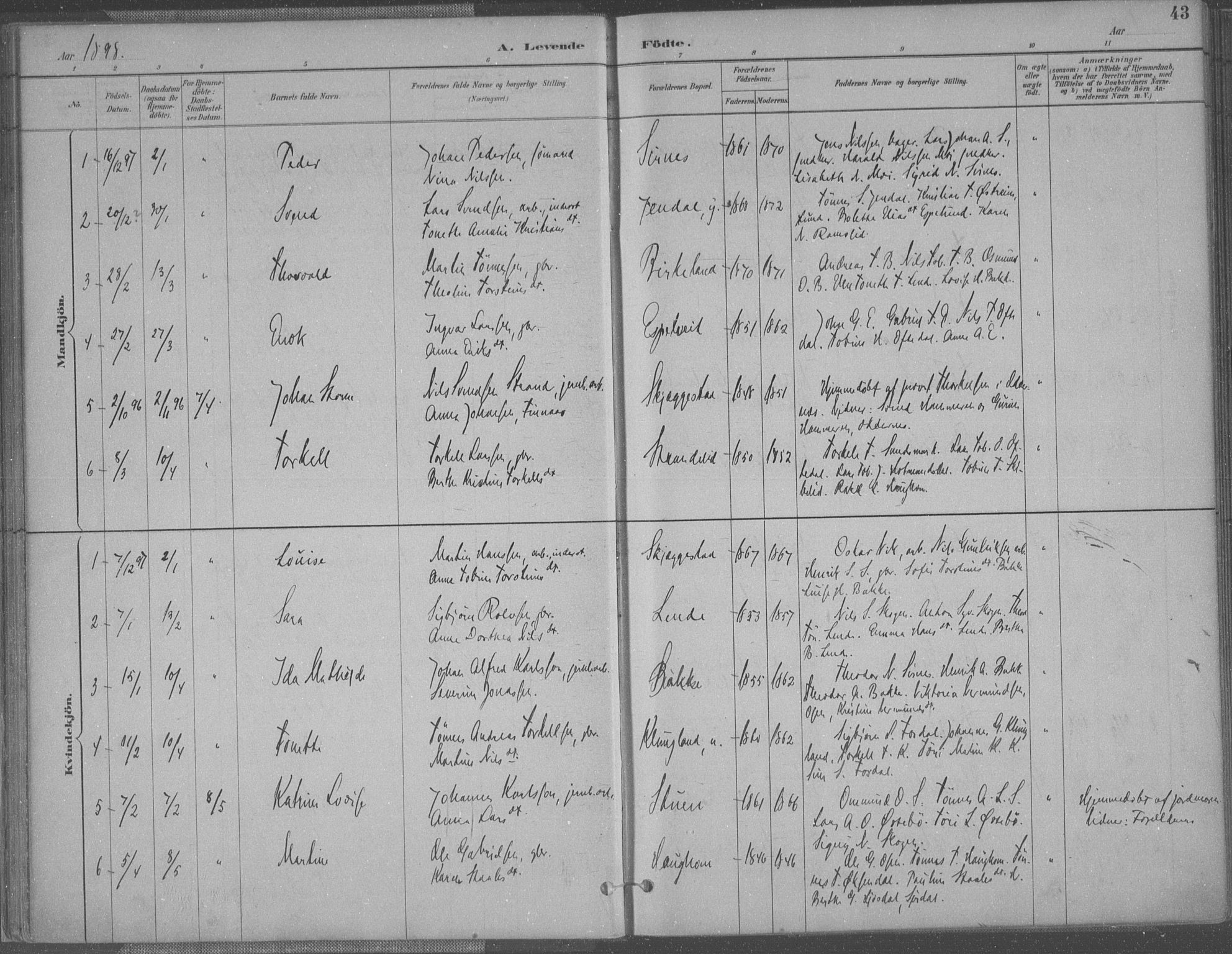 Bakke sokneprestkontor, SAK/1111-0002/F/Fa/Faa/L0008: Parish register (official) no. A 8, 1887-1911, p. 43