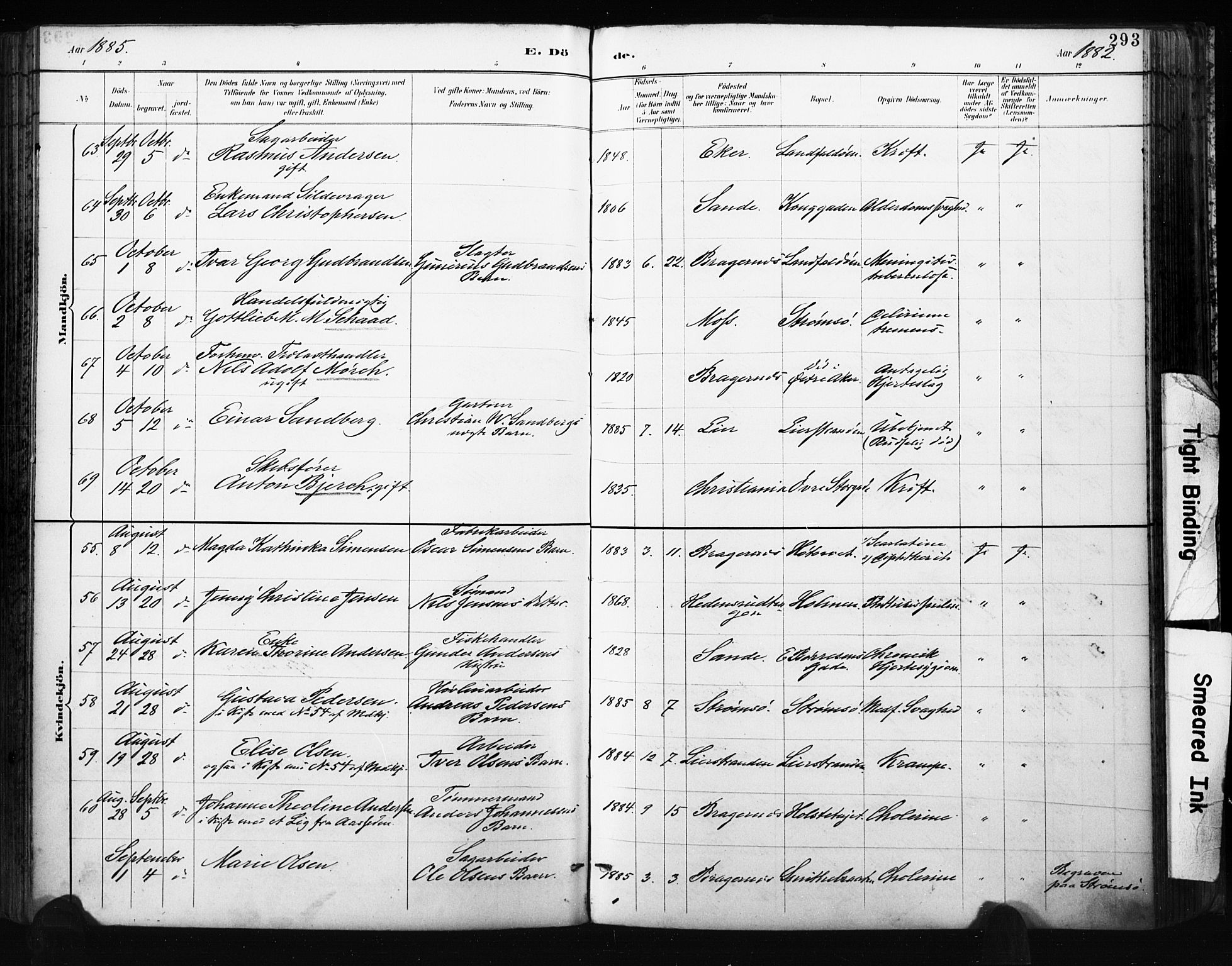 Bragernes kirkebøker, AV/SAKO-A-6/F/Fb/L0007: Parish register (official) no. II 7, 1885-1893, p. 293