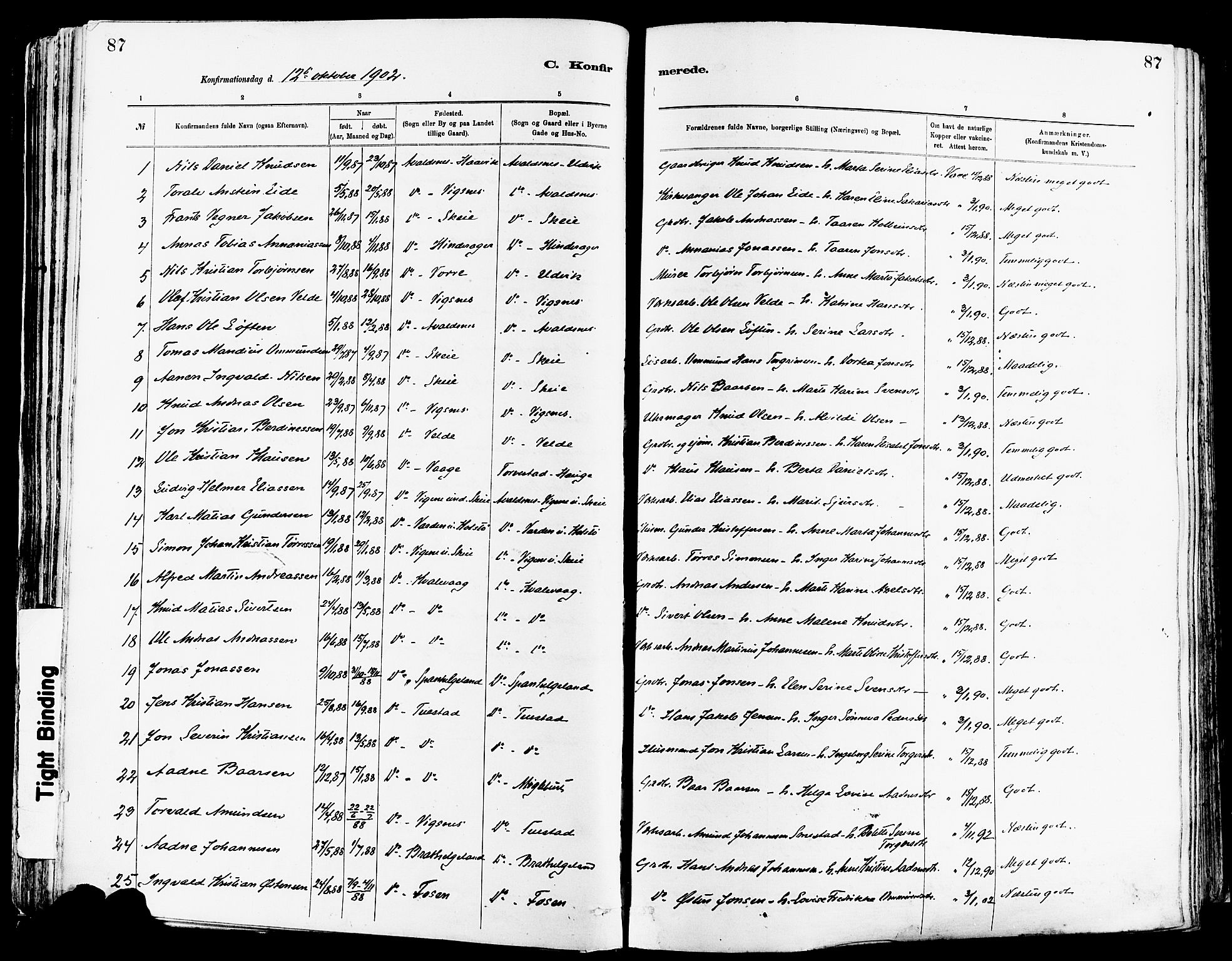 Avaldsnes sokneprestkontor, SAST/A -101851/H/Ha/Haa/L0015: Parish register (official) no. A 15, 1880-1906, p. 87