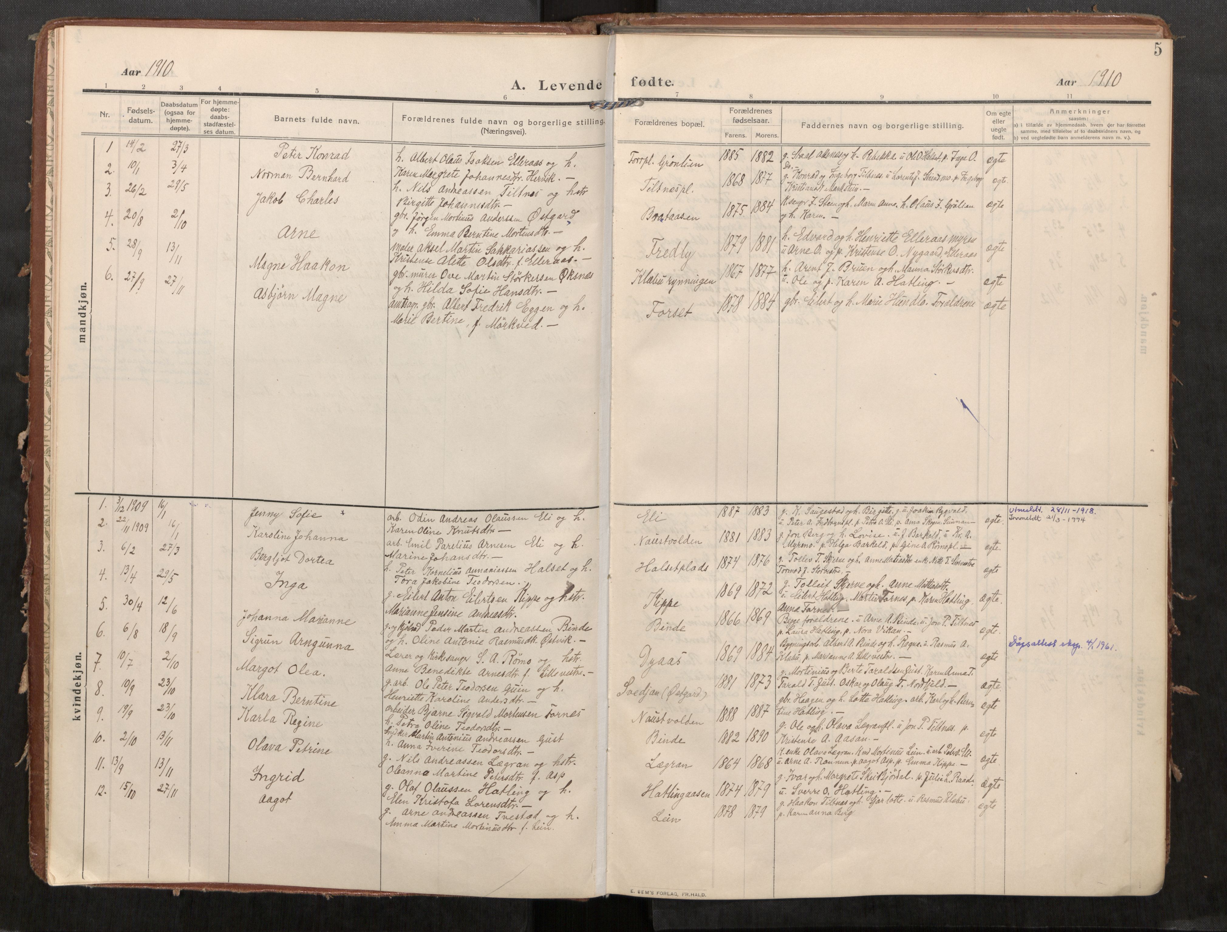 Stod sokneprestkontor, SAT/A-1164/1/I/I1/I1a/L0002: Parish register (official) no. 2, 1909-1922, p. 5