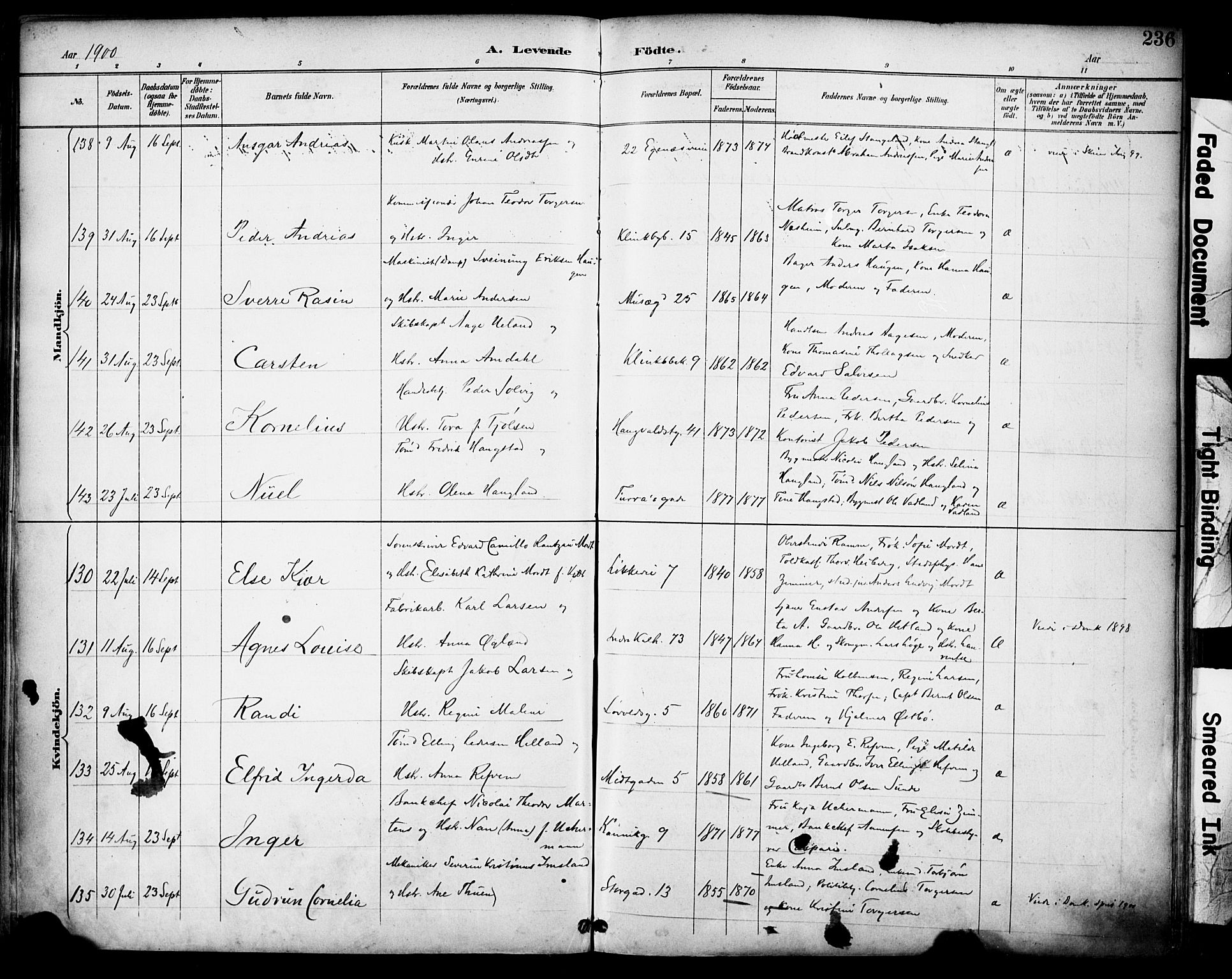 Domkirken sokneprestkontor, SAST/A-101812/001/30/30BA/L0030: Parish register (official) no. A 29, 1889-1902, p. 236