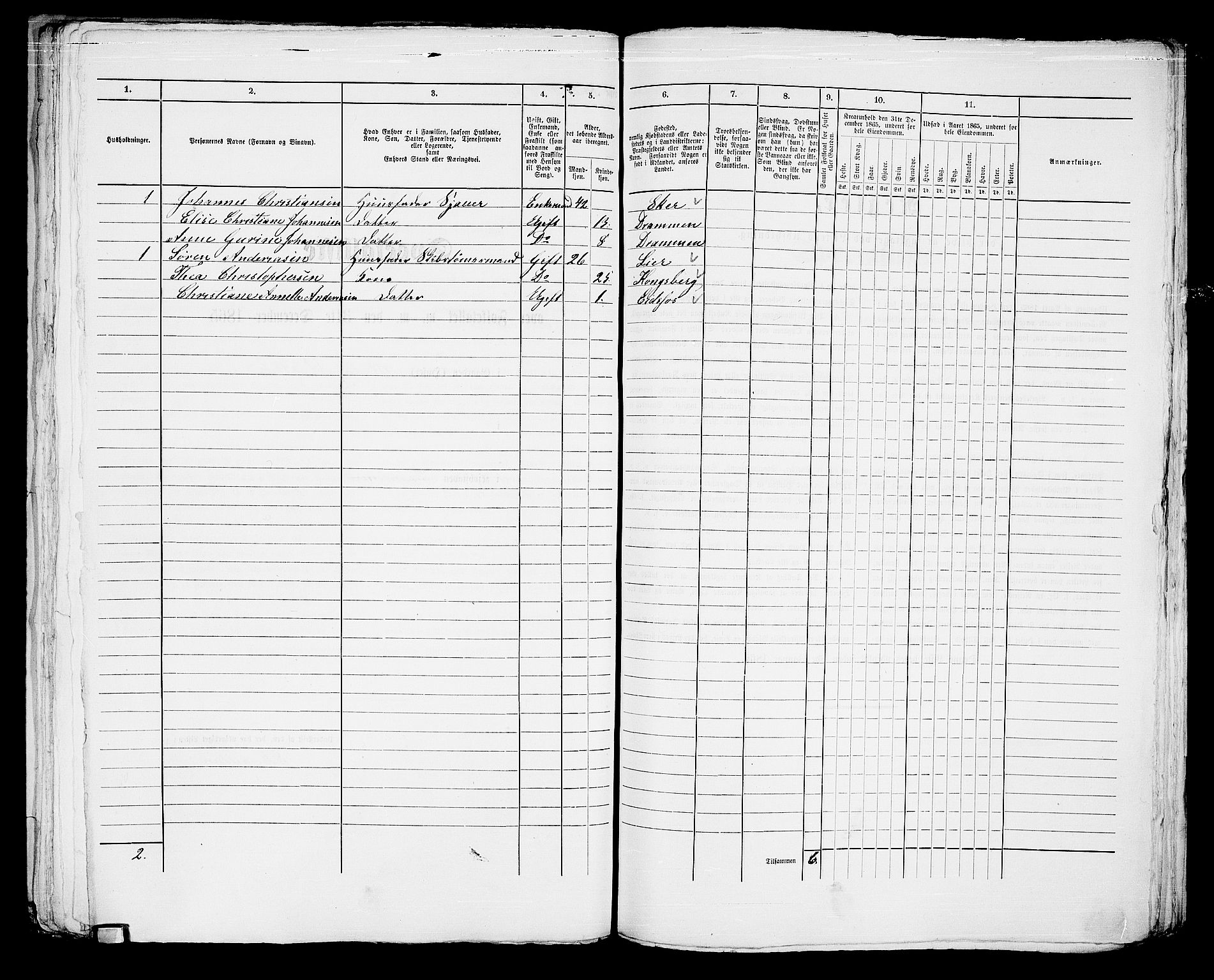 RA, 1865 census for Strømsø in Drammen, 1865, p. 907