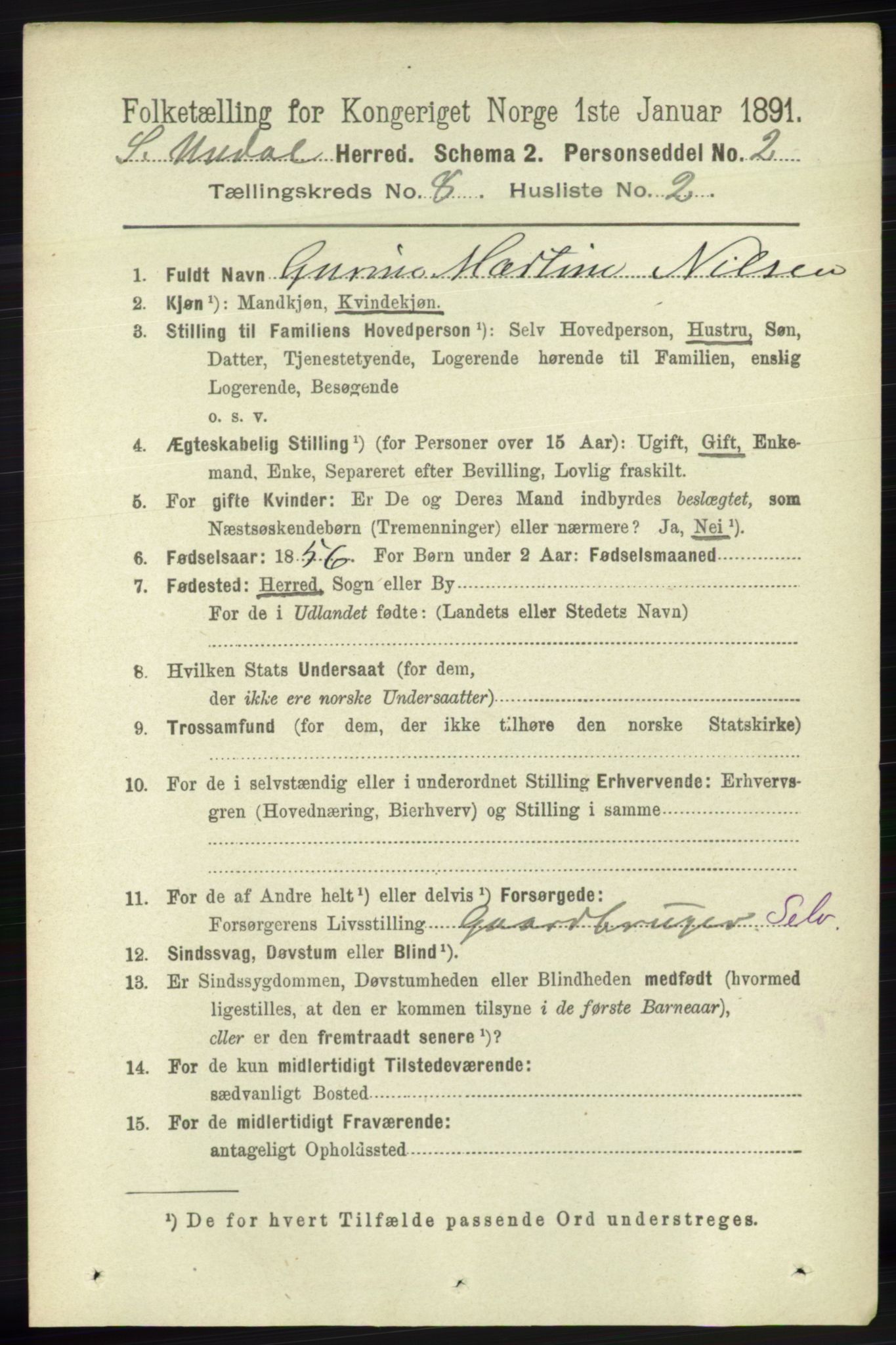 RA, 1891 census for 1029 Sør-Audnedal, 1891, p. 3116