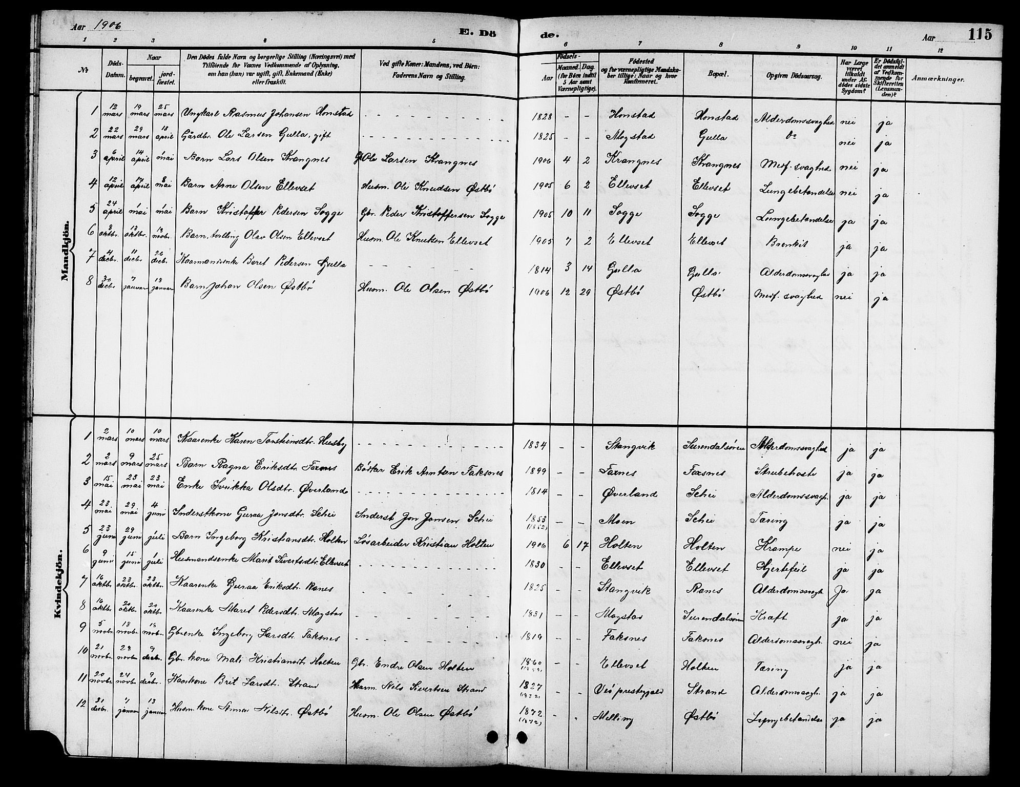 Ministerialprotokoller, klokkerbøker og fødselsregistre - Møre og Romsdal, AV/SAT-A-1454/596/L1058: Parish register (copy) no. 596C01, 1891-1907, p. 115