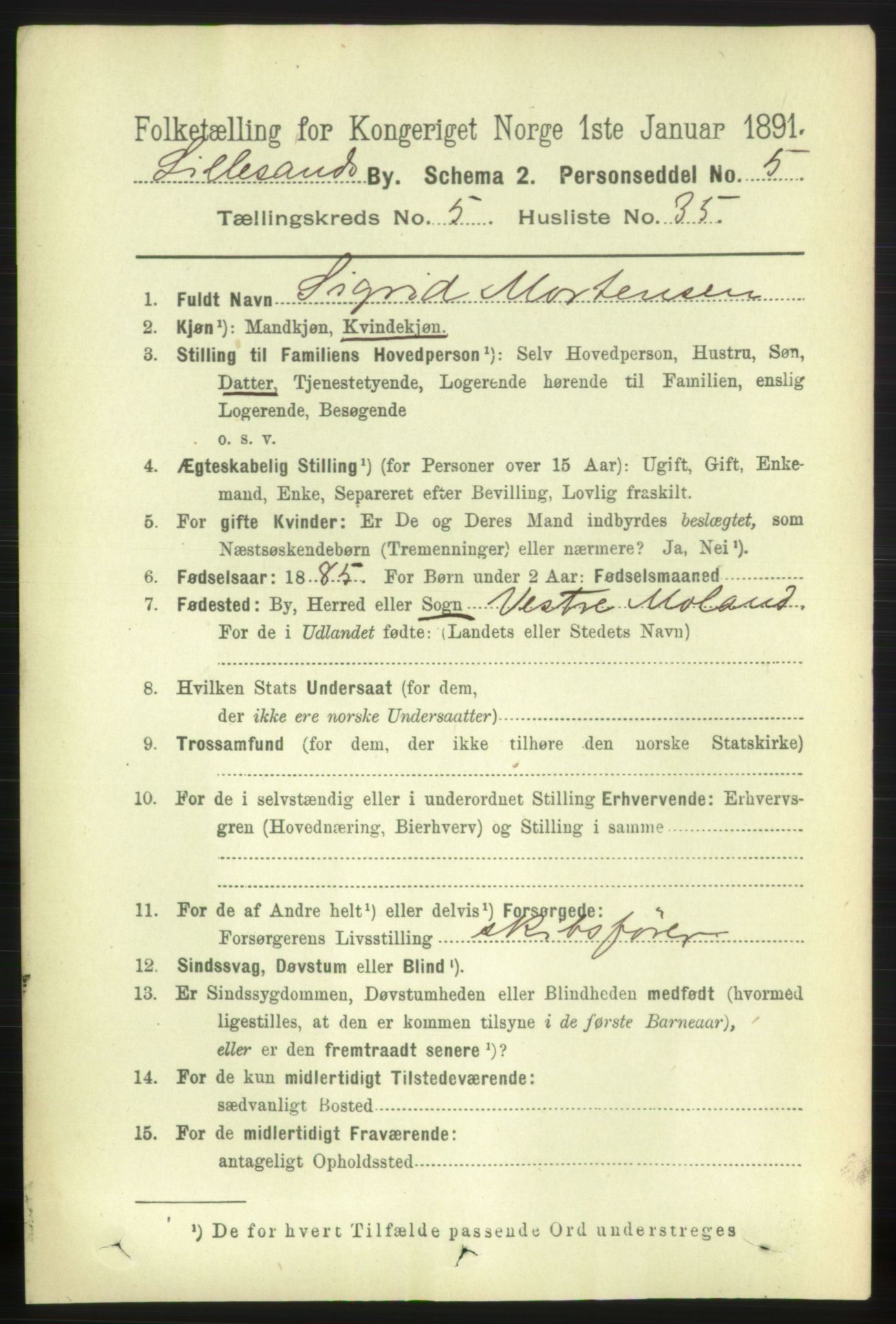 RA, 1891 census for 0905 Lillesand, 1891, p. 1607