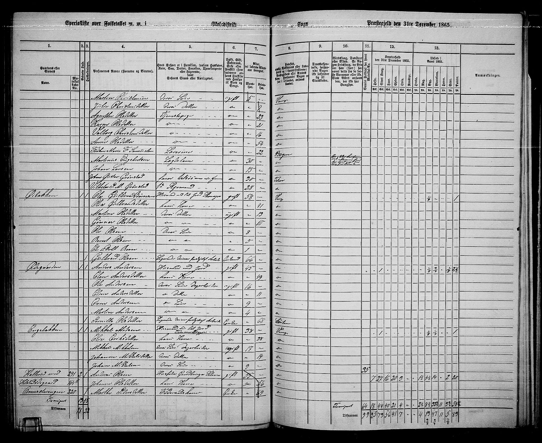 RA, 1865 census for Vang/Vang og Furnes, 1865, p. 297