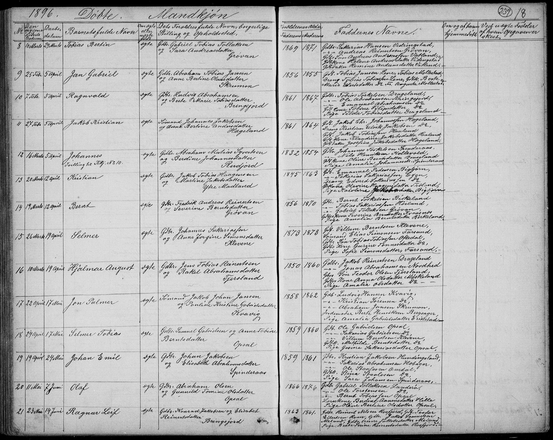 Lyngdal sokneprestkontor, AV/SAK-1111-0029/F/Fb/Fbc/L0004: Parish register (copy) no. B 4, 1878-1896, p. 239