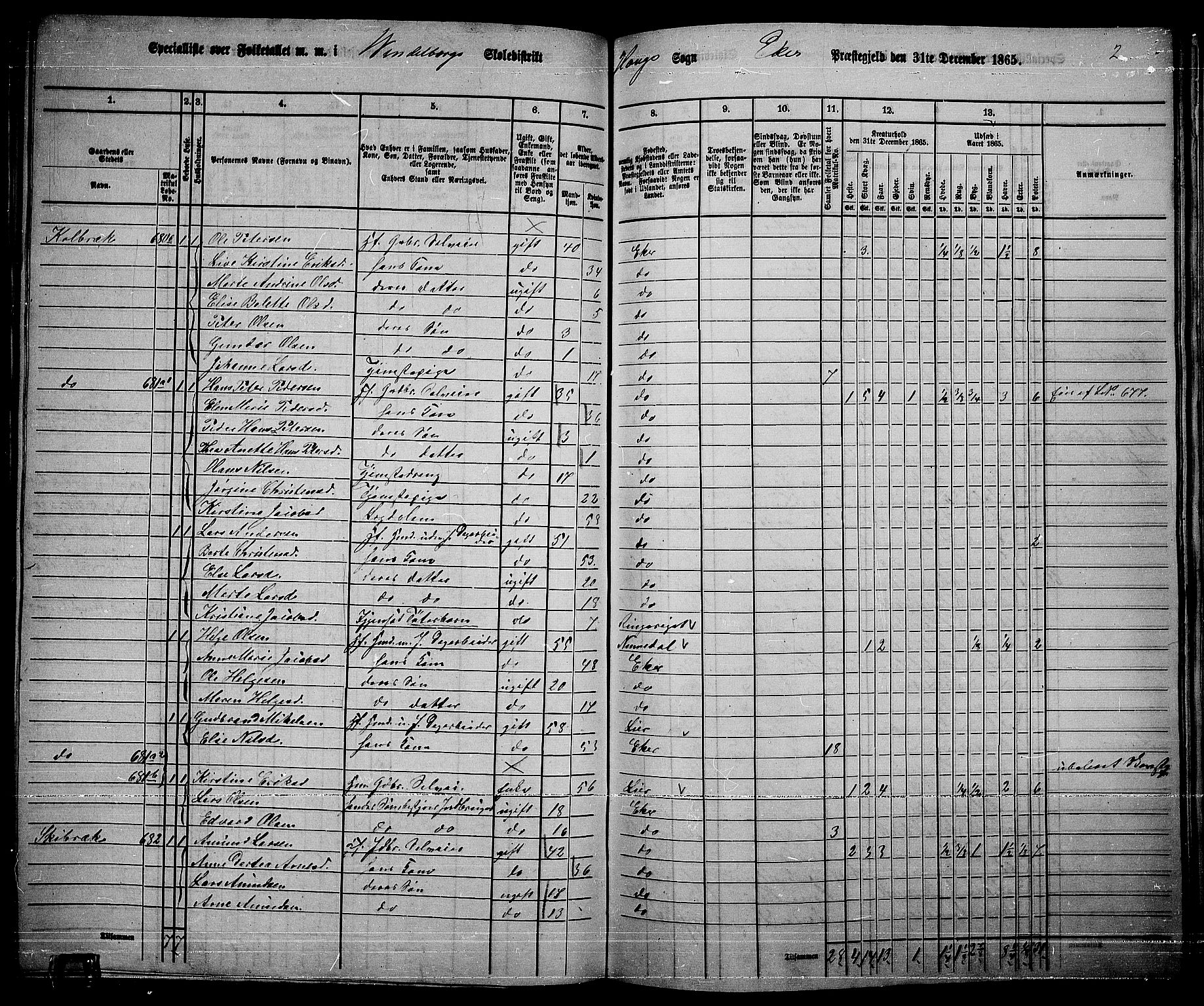 RA, 1865 census for Eiker, 1865, p. 163