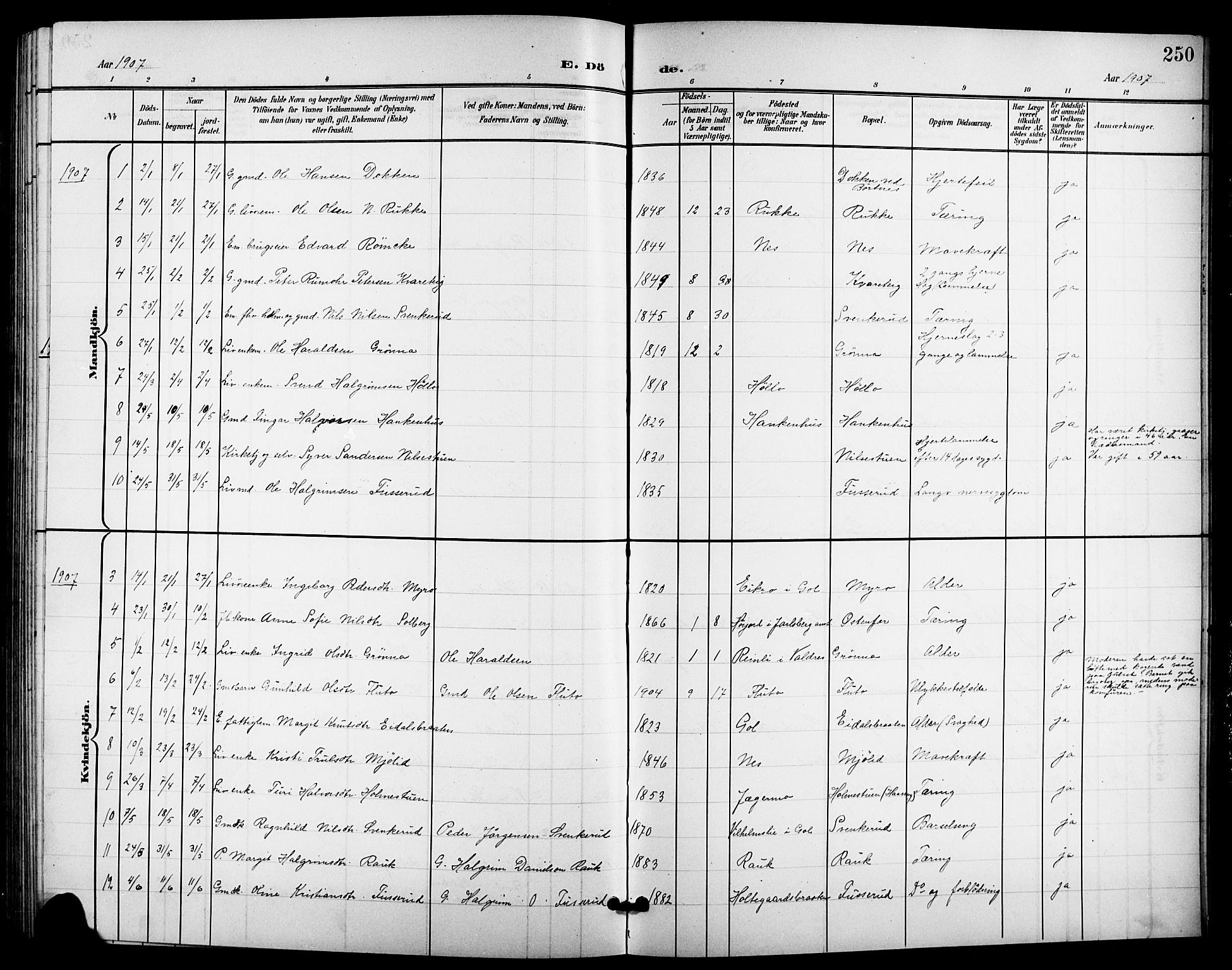 Nes kirkebøker, AV/SAKO-A-236/G/Ga/L0004: Parish register (copy) no. I 4, 1900-1925, p. 250