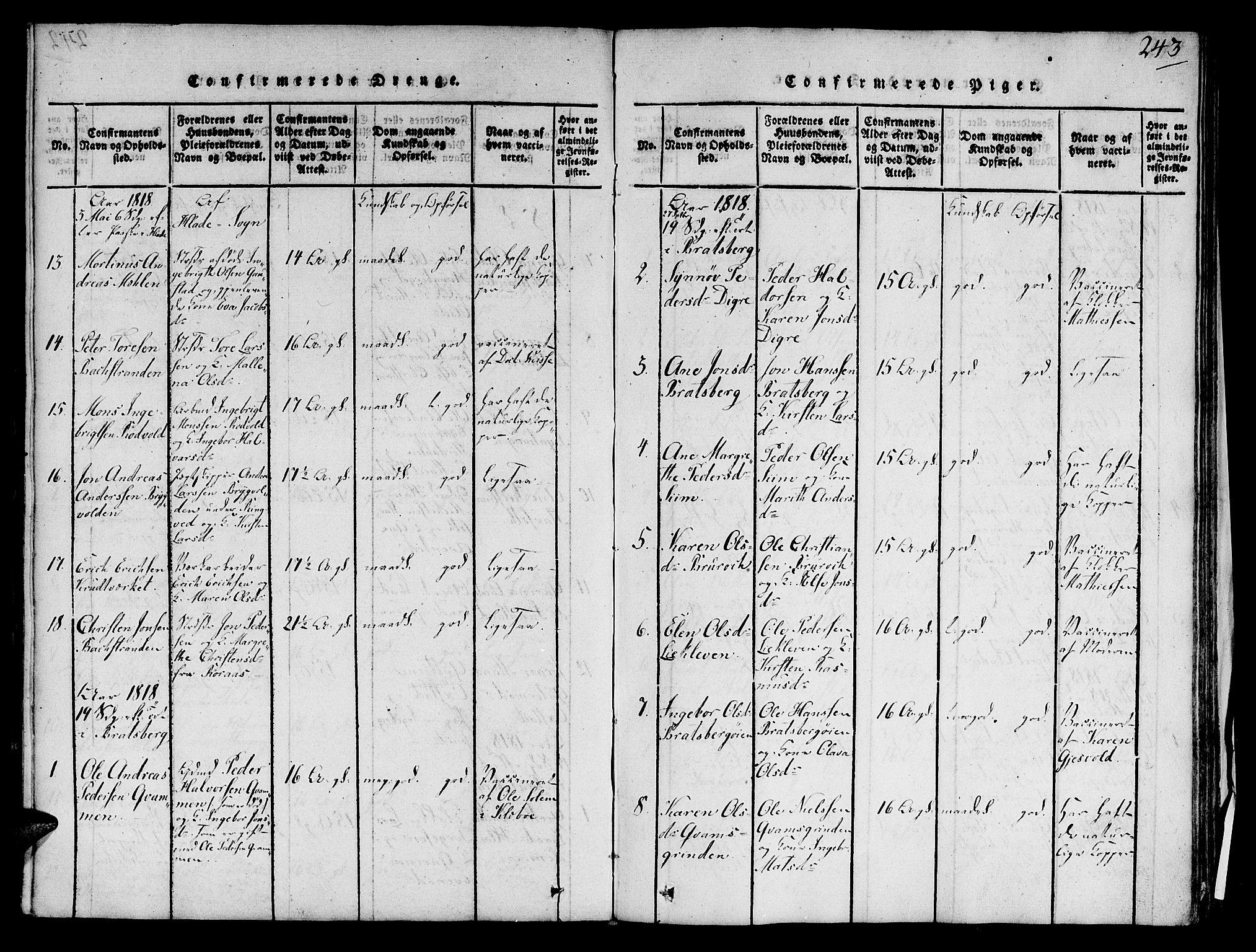 Ministerialprotokoller, klokkerbøker og fødselsregistre - Sør-Trøndelag, AV/SAT-A-1456/606/L0283: Parish register (official) no. 606A03 /1, 1818-1823, p. 243