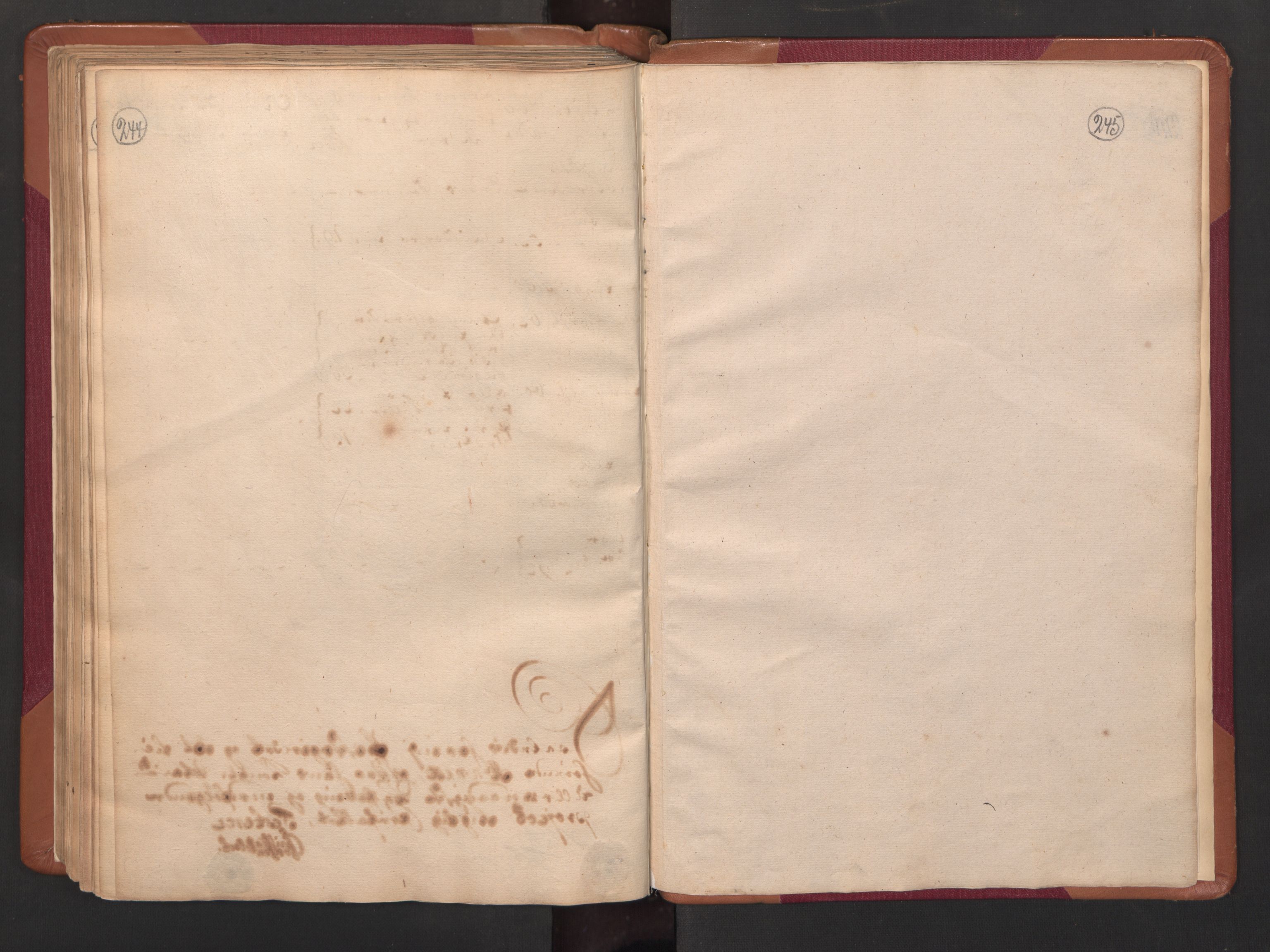 RA, Census (manntall) 1701, no. 14: Strinda and Selbu fogderi, 1701, p. 244-245