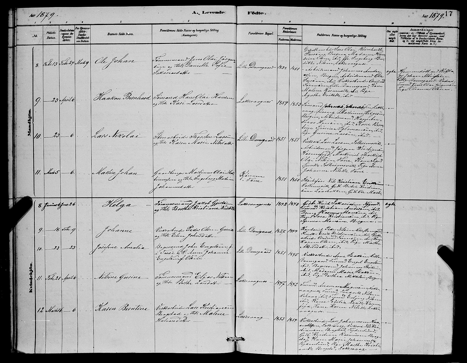 Laksevåg Sokneprestembete, SAB/A-76501/H/Ha/Hab/Haba/L0002: Parish register (copy) no. A 2, 1877-1887, p. 17