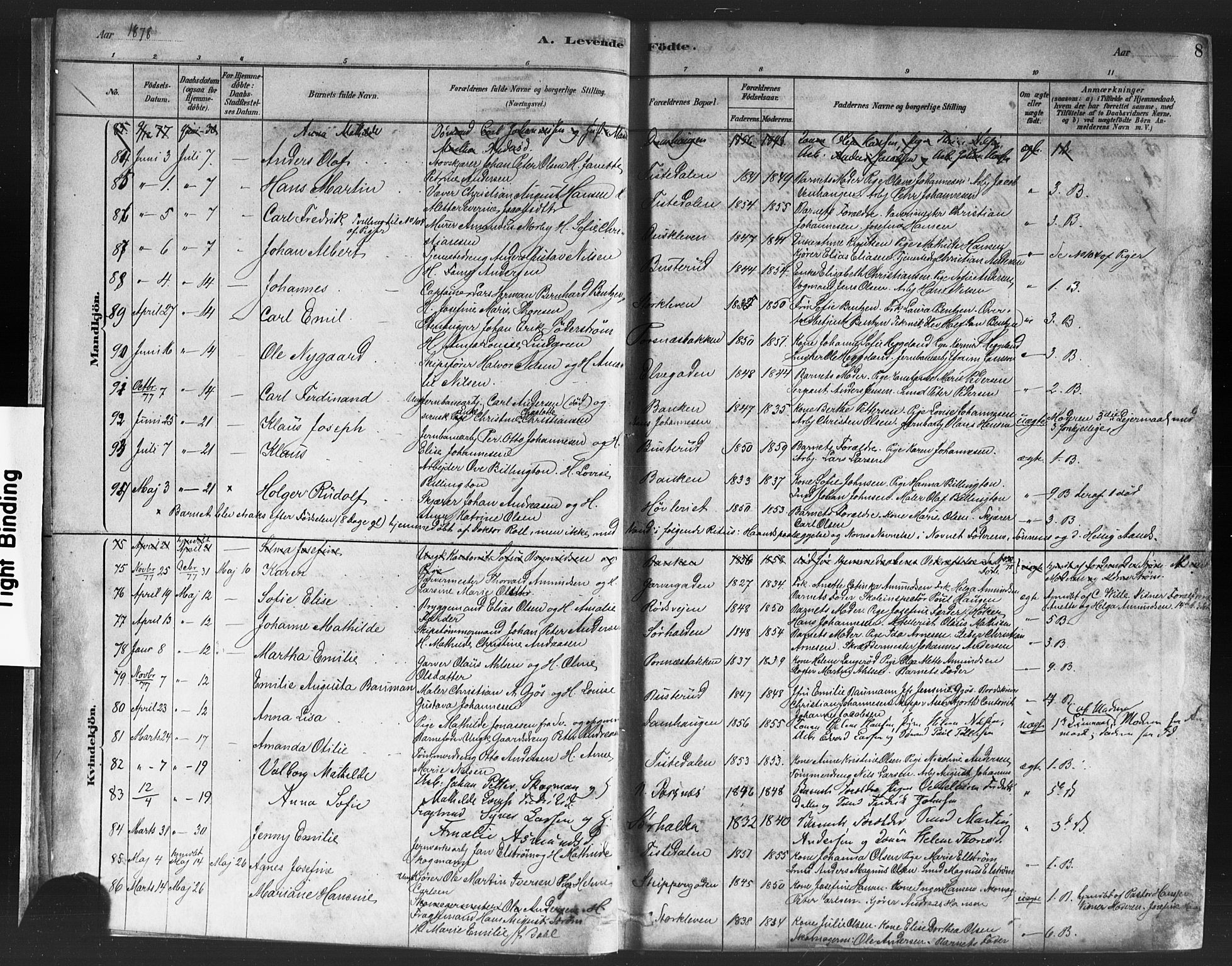 Halden prestekontor Kirkebøker, SAO/A-10909/F/Fa/L0011: Parish register (official) no. I 11, 1878-1889, p. 8