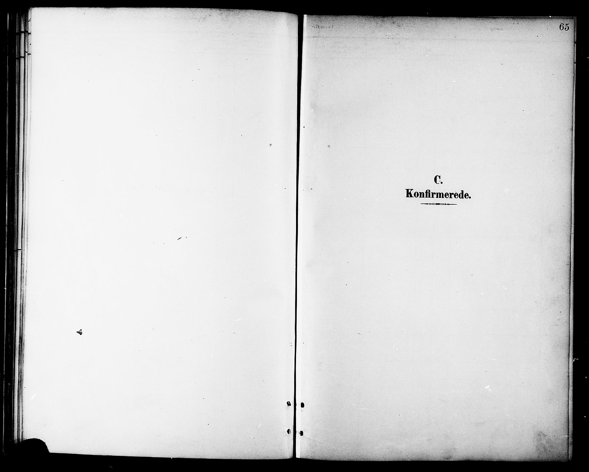 Ministerialprotokoller, klokkerbøker og fødselsregistre - Nordland, AV/SAT-A-1459/865/L0924: Parish register (official) no. 865A02, 1885-1896, p. 65