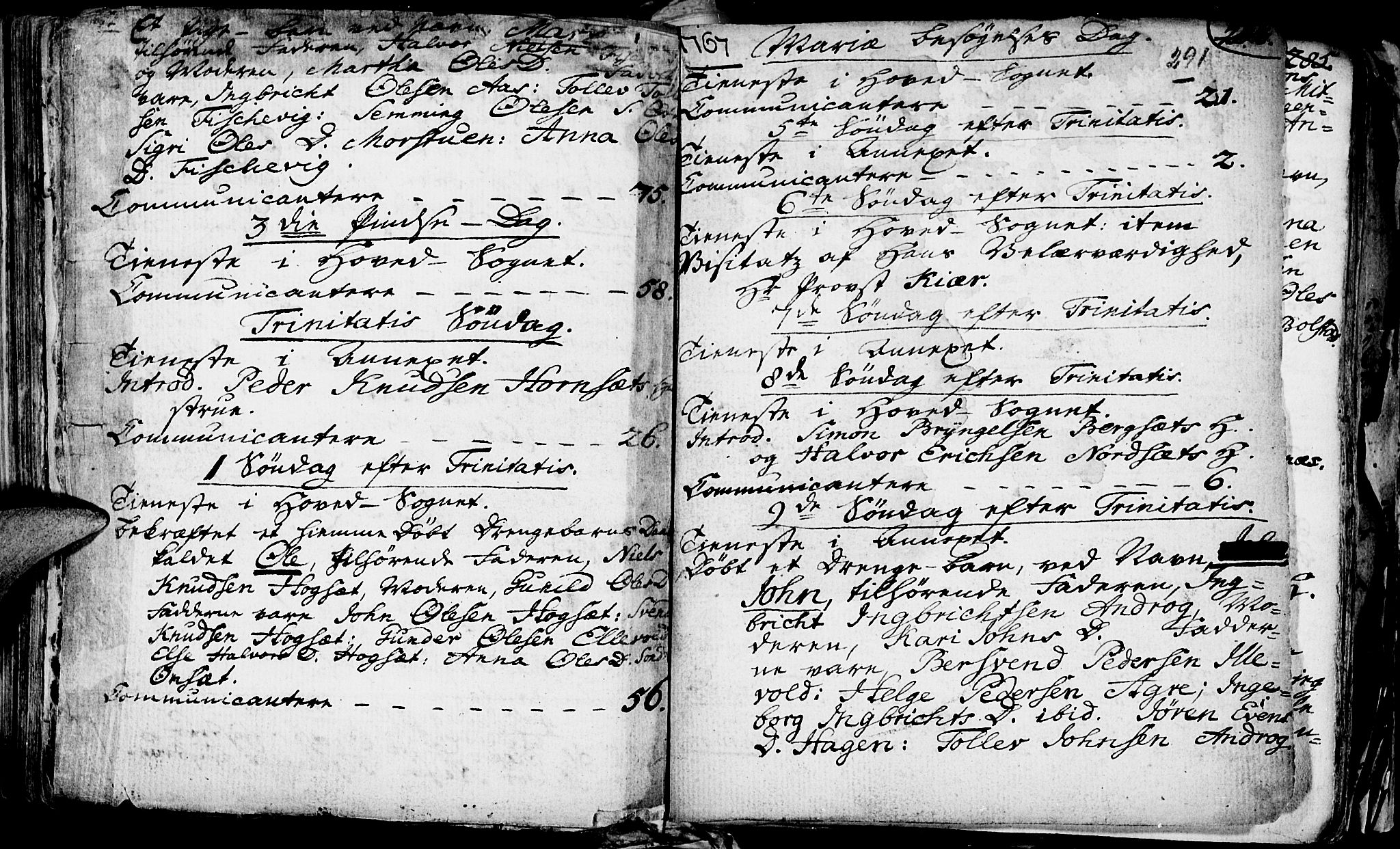 Rendalen prestekontor, SAH/PREST-054/H/Ha/Haa/L0001: Parish register (official) no. 1, 1733-1787, p. 291