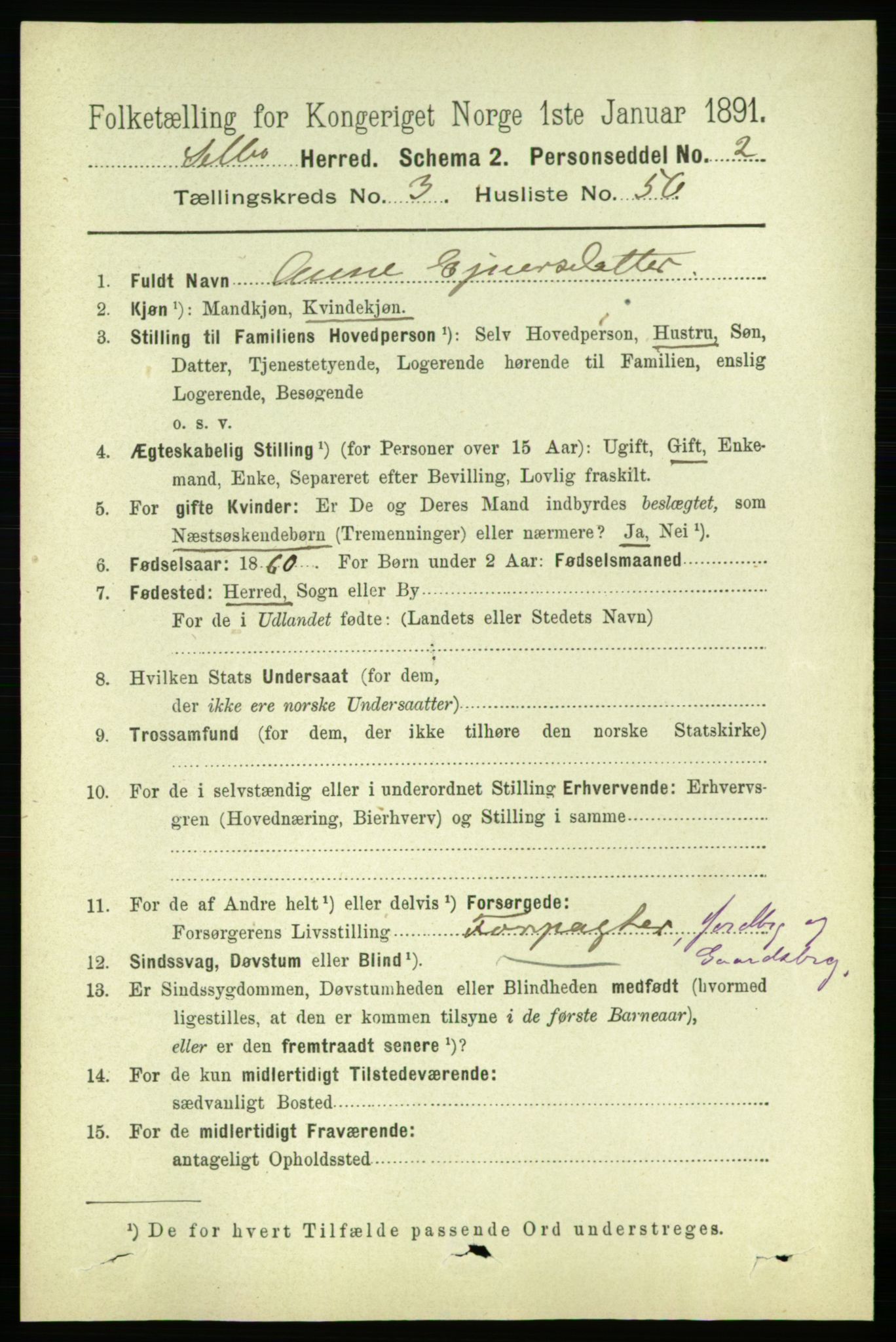 RA, 1891 census for 1664 Selbu, 1891, p. 957