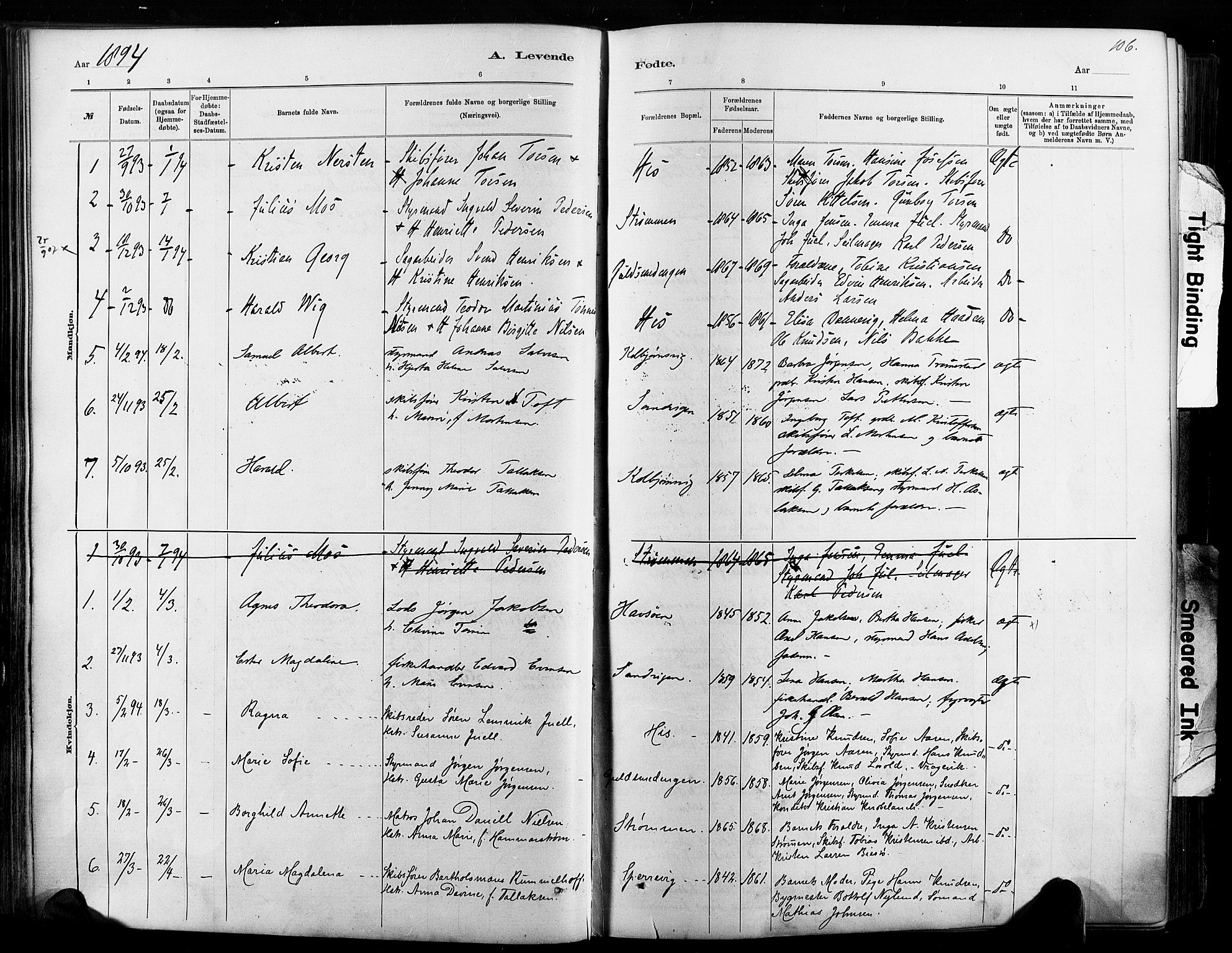 Hisøy sokneprestkontor, AV/SAK-1111-0020/F/Fa/L0003: Parish register (official) no. A 3, 1881-1894, p. 106