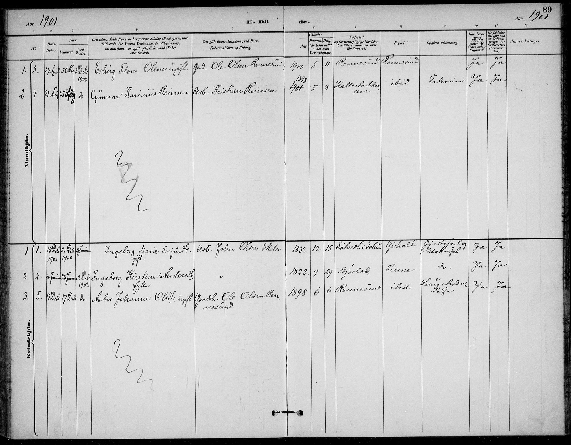 Solum kirkebøker, SAKO/A-306/F/Fc/L0002: Parish register (official) no. III 2, 1892-1906, p. 89