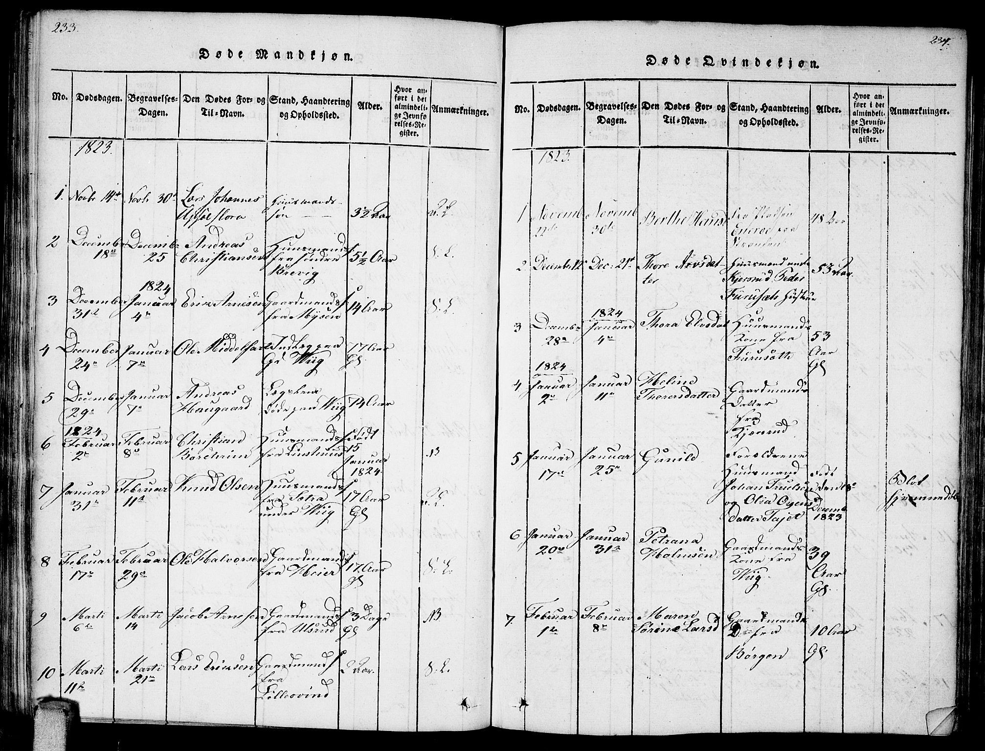 Enebakk prestekontor Kirkebøker, AV/SAO-A-10171c/F/Fa/L0006: Parish register (official) no. I 6, 1815-1832, p. 233-234