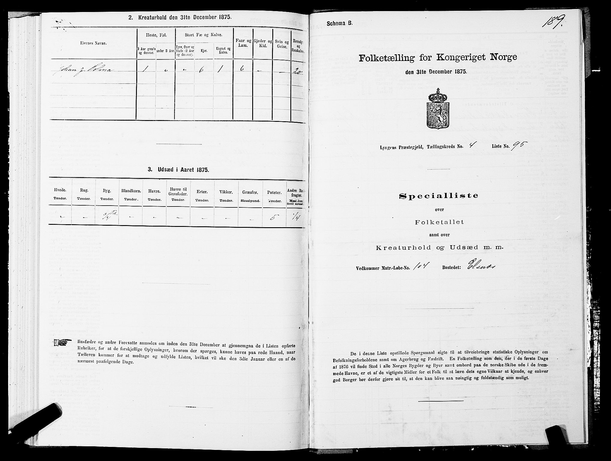 SATØ, 1875 census for 1938P Lyngen, 1875, p. 4189