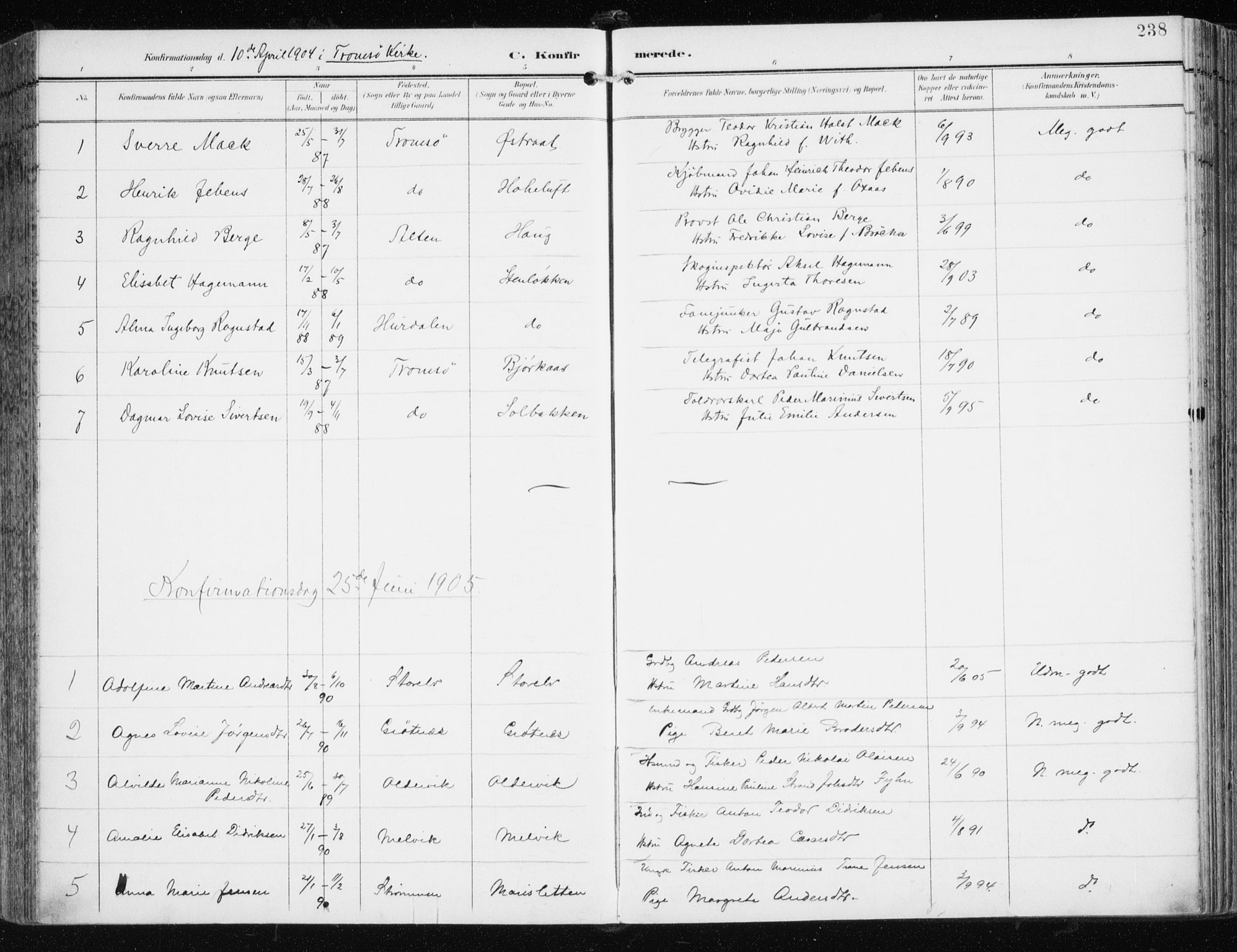 Tromsøysund sokneprestkontor, SATØ/S-1304/G/Ga/L0006kirke: Parish register (official) no. 6, 1897-1906, p. 238