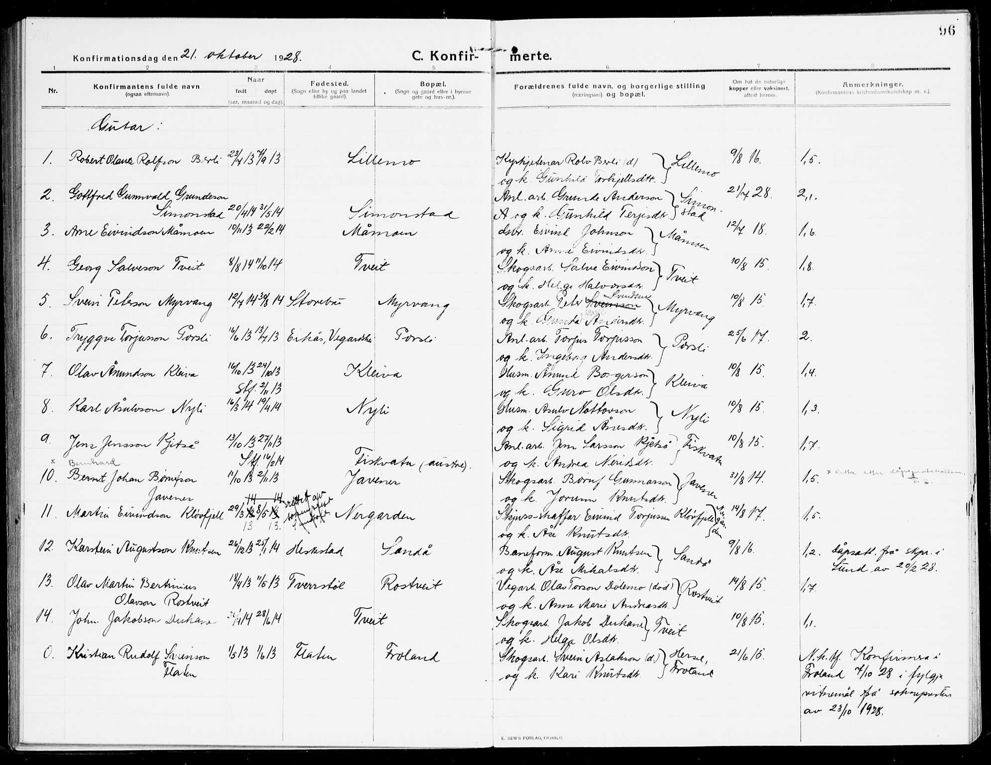 Åmli sokneprestkontor, SAK/1111-0050/F/Fa/Fac/L0013: Parish register (official) no. A 13, 1914-1933, p. 96