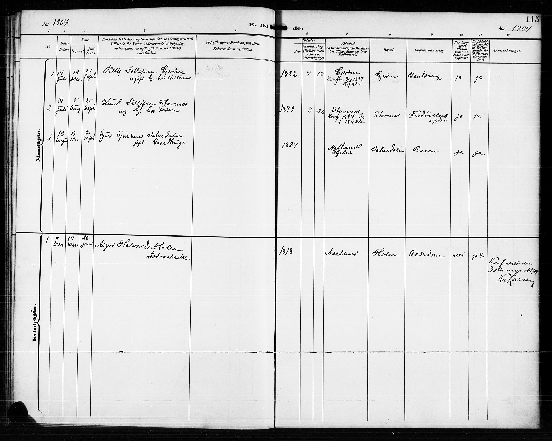 Valle sokneprestkontor, AV/SAK-1111-0044/F/Fb/Fba/L0003: Parish register (copy) no. B 3, 1895-1916, p. 115