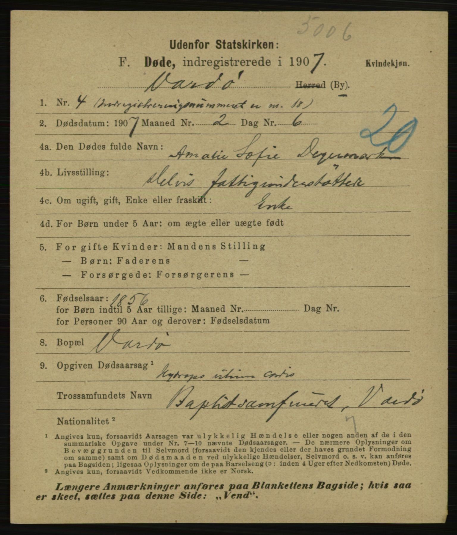 Statistisk sentralbyrå, Sosiodemografiske emner, Befolkning, AV/RA-S-2228/E/L0005: Fødte, gifte, døde dissentere., 1907, p. 3013