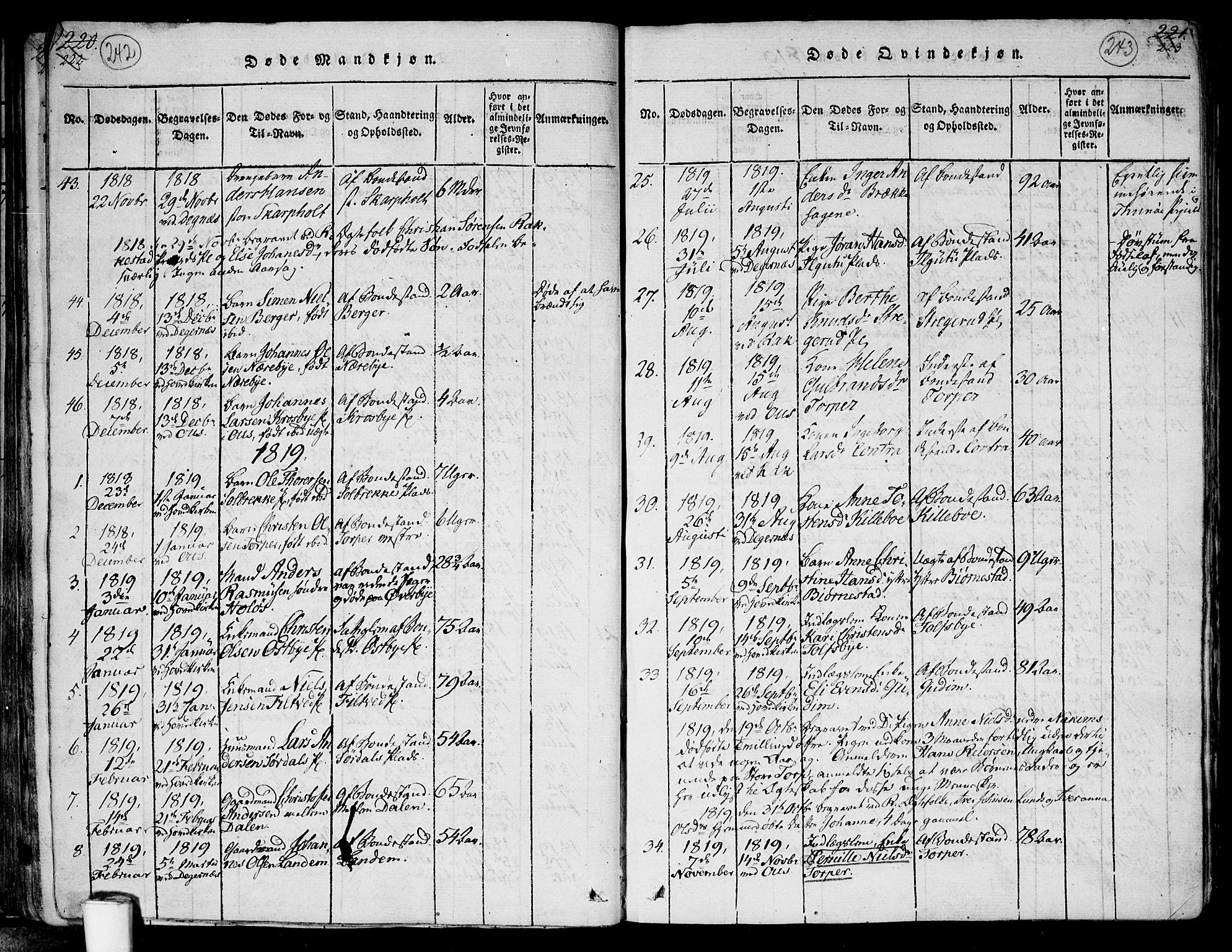 Rakkestad prestekontor Kirkebøker, SAO/A-2008/F/Fa/L0006: Parish register (official) no. I 6, 1814-1824, p. 242-243