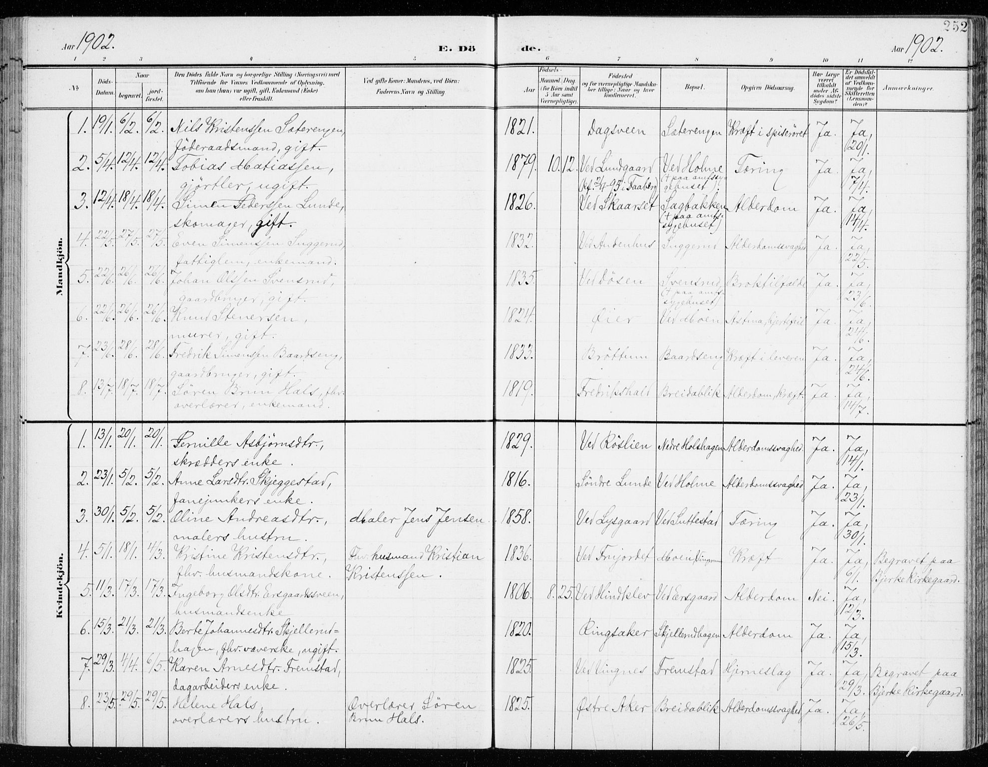 Fåberg prestekontor, SAH/PREST-086/H/Ha/Haa/L0011: Parish register (official) no. 11, 1899-1913, p. 252