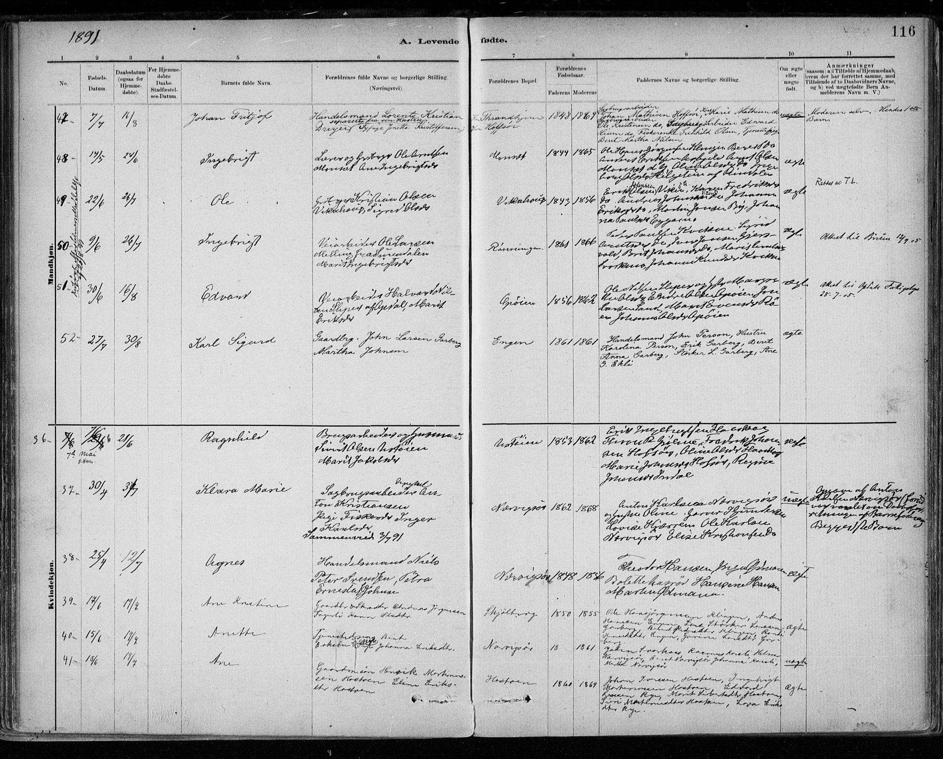 Ministerialprotokoller, klokkerbøker og fødselsregistre - Sør-Trøndelag, AV/SAT-A-1456/668/L0809: Parish register (official) no. 668A09, 1881-1895, p. 116