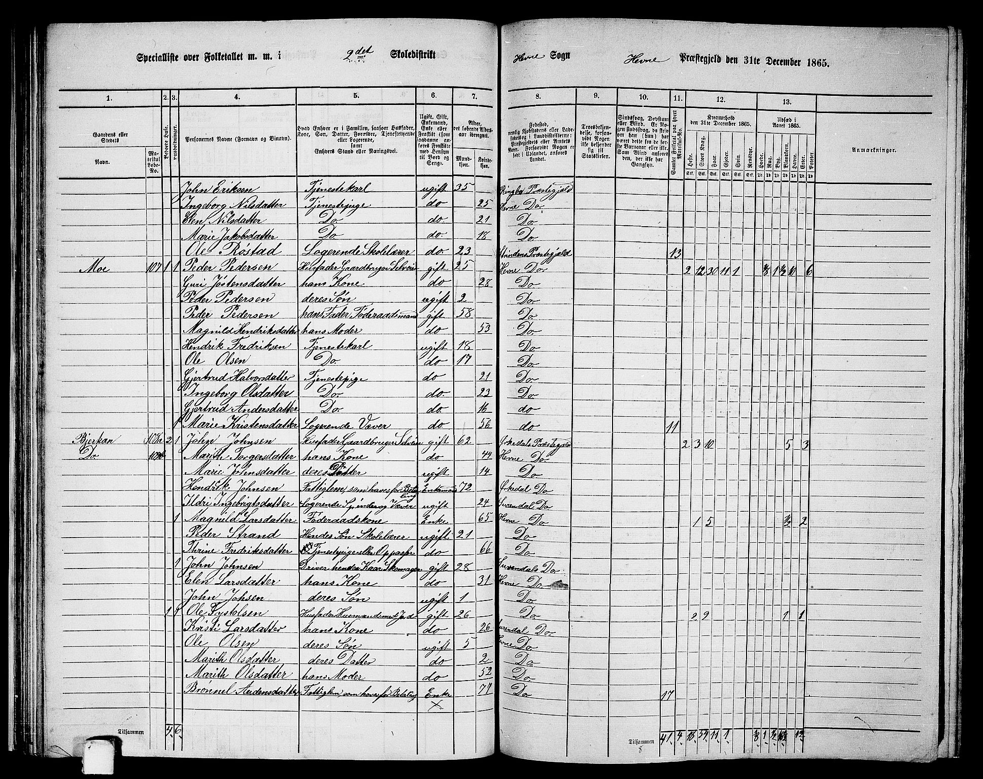 RA, 1865 census for Hemne, 1865, p. 45