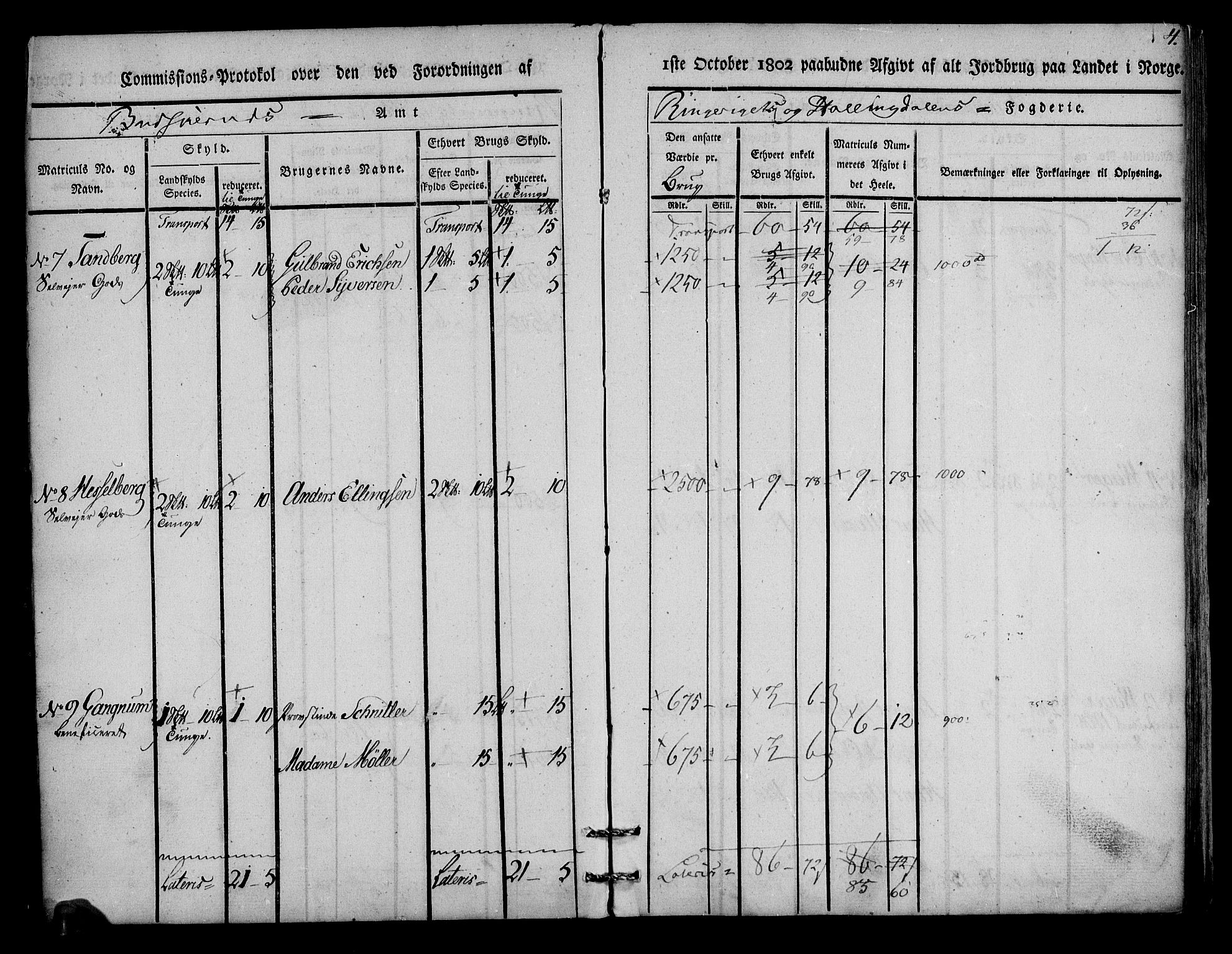 Rentekammeret inntil 1814, Realistisk ordnet avdeling, AV/RA-EA-4070/N/Ne/Nea/L0045: Ringerike og Hallingdal fogderi. Kommisjonsprotokoll for Norderhov prestegjeld, 1803, p. 5