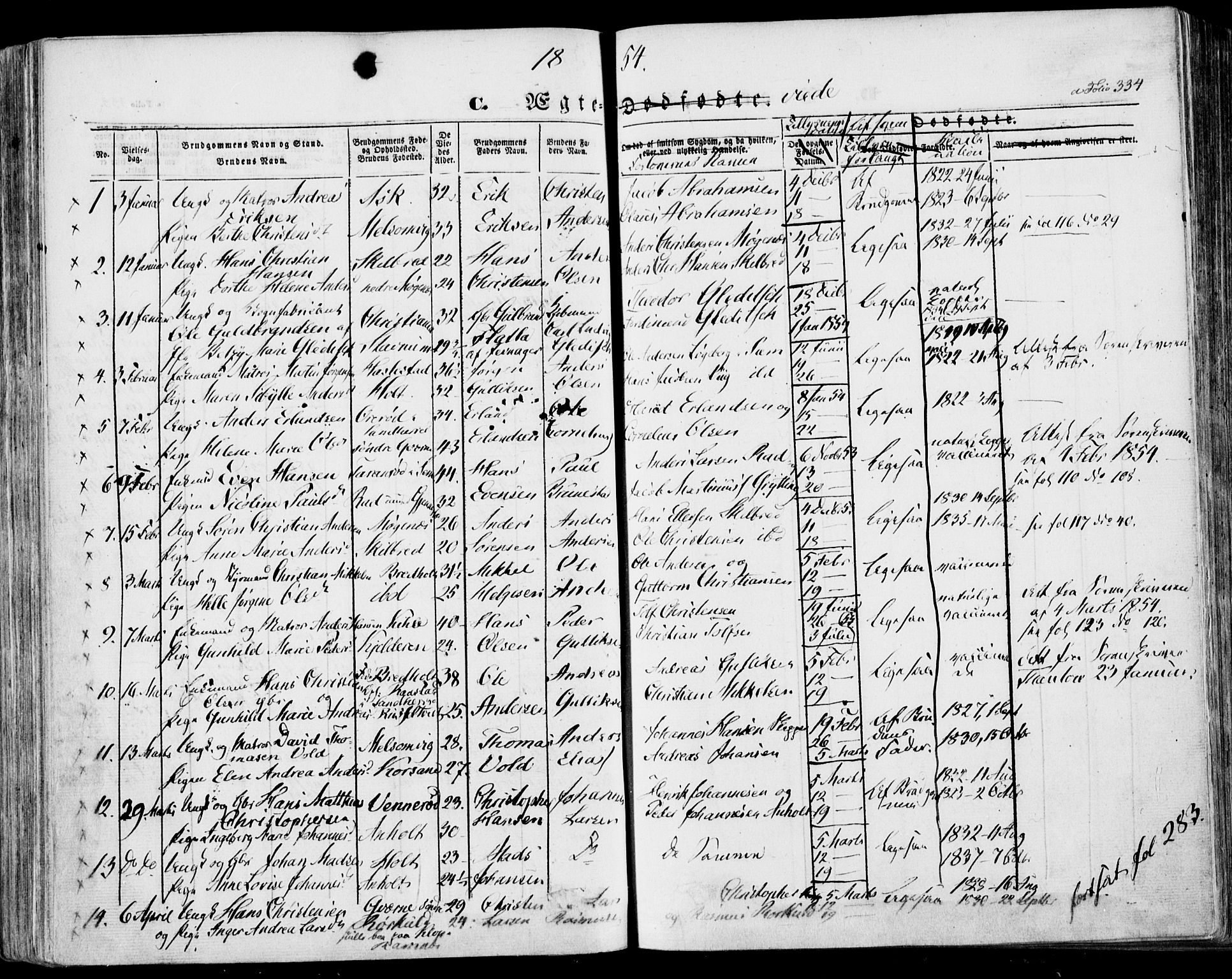 Stokke kirkebøker, AV/SAKO-A-320/F/Fa/L0007: Parish register (official) no. I 7, 1844-1857, p. 334