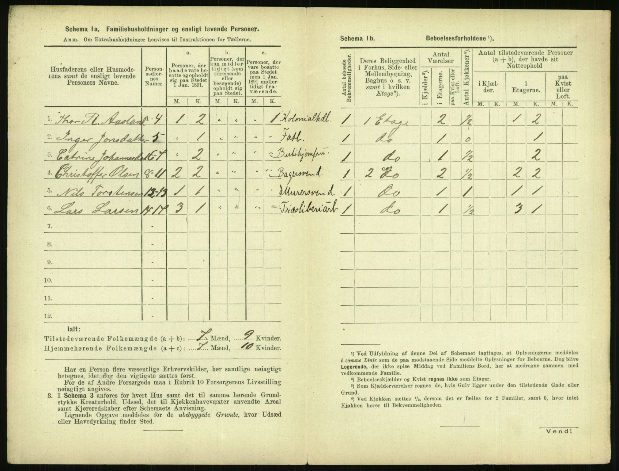 RA, 1891 census for 0806 Skien, 1891, p. 977