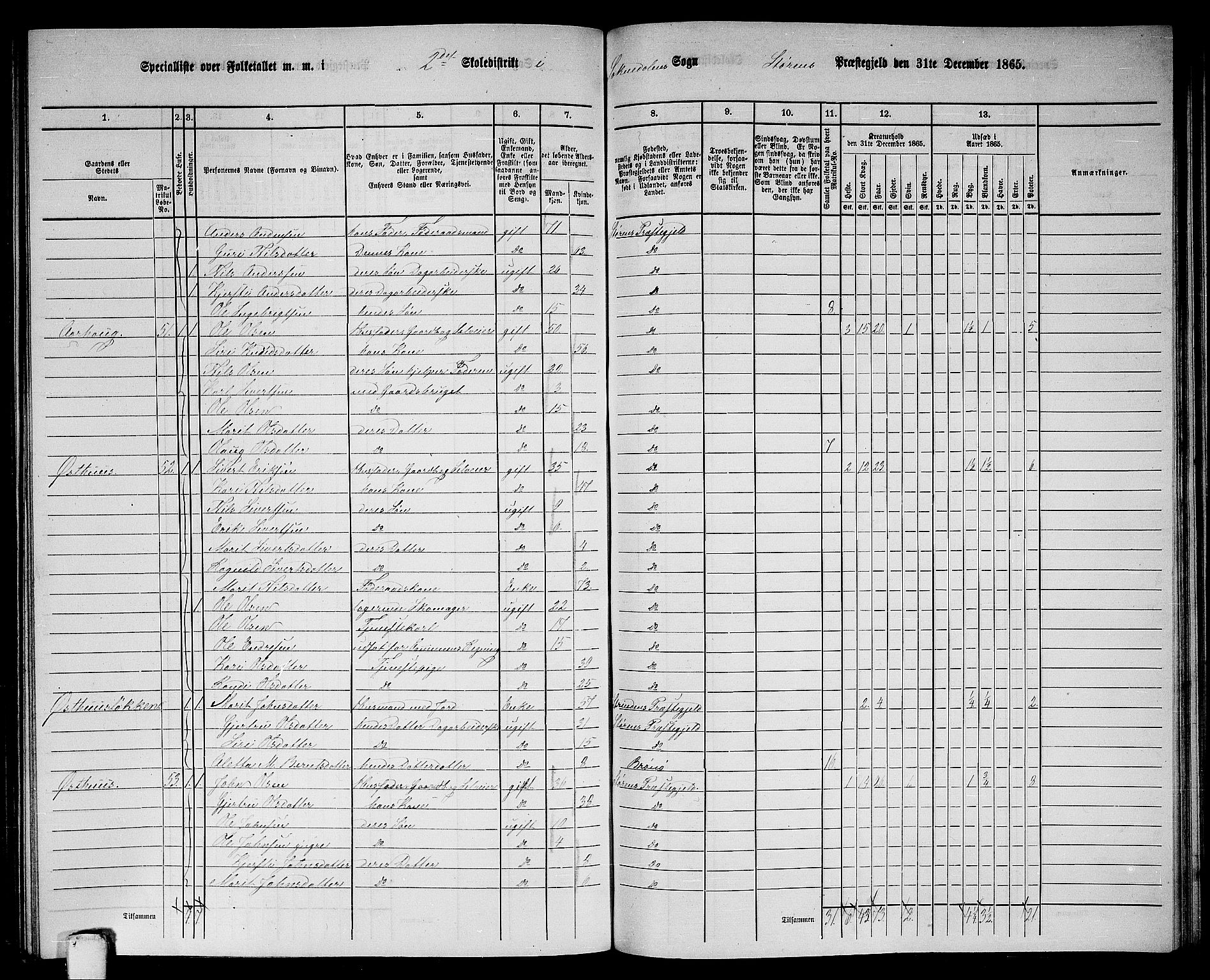 RA, 1865 census for Støren, 1865, p. 248