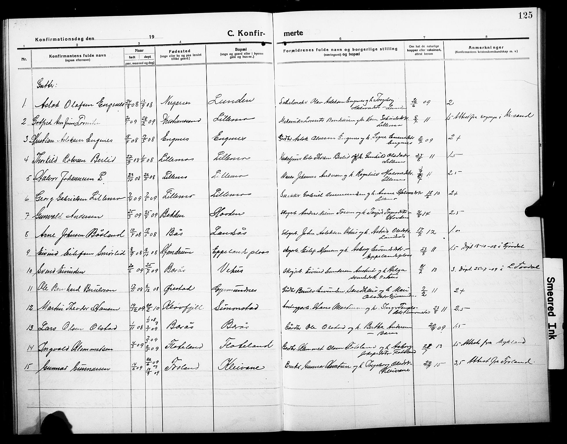 Åmli sokneprestkontor, SAK/1111-0050/F/Fb/Fbc/L0006: Parish register (copy) no. B 6, 1915-1929, p. 125