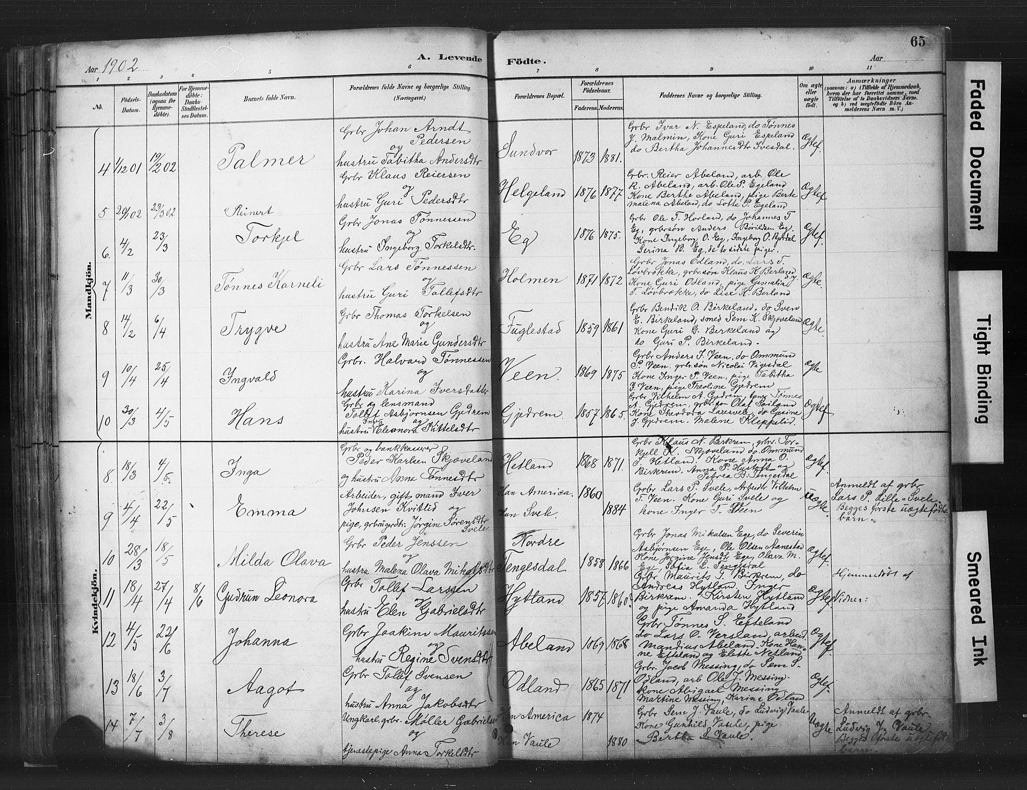 Helleland sokneprestkontor, SAST/A-101810: Parish register (copy) no. B 5, 1887-1908, p. 65