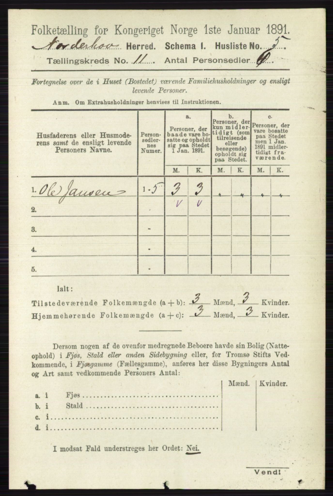 RA, 1891 census for 0613 Norderhov, 1891, p. 7994