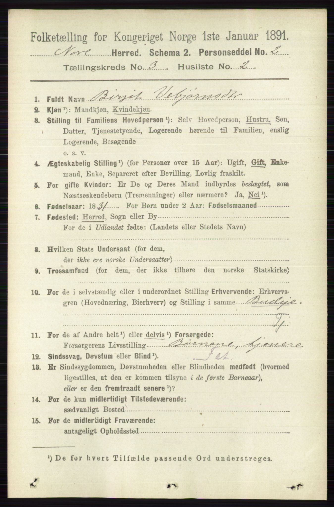 RA, 1891 census for 0633 Nore, 1891, p. 747